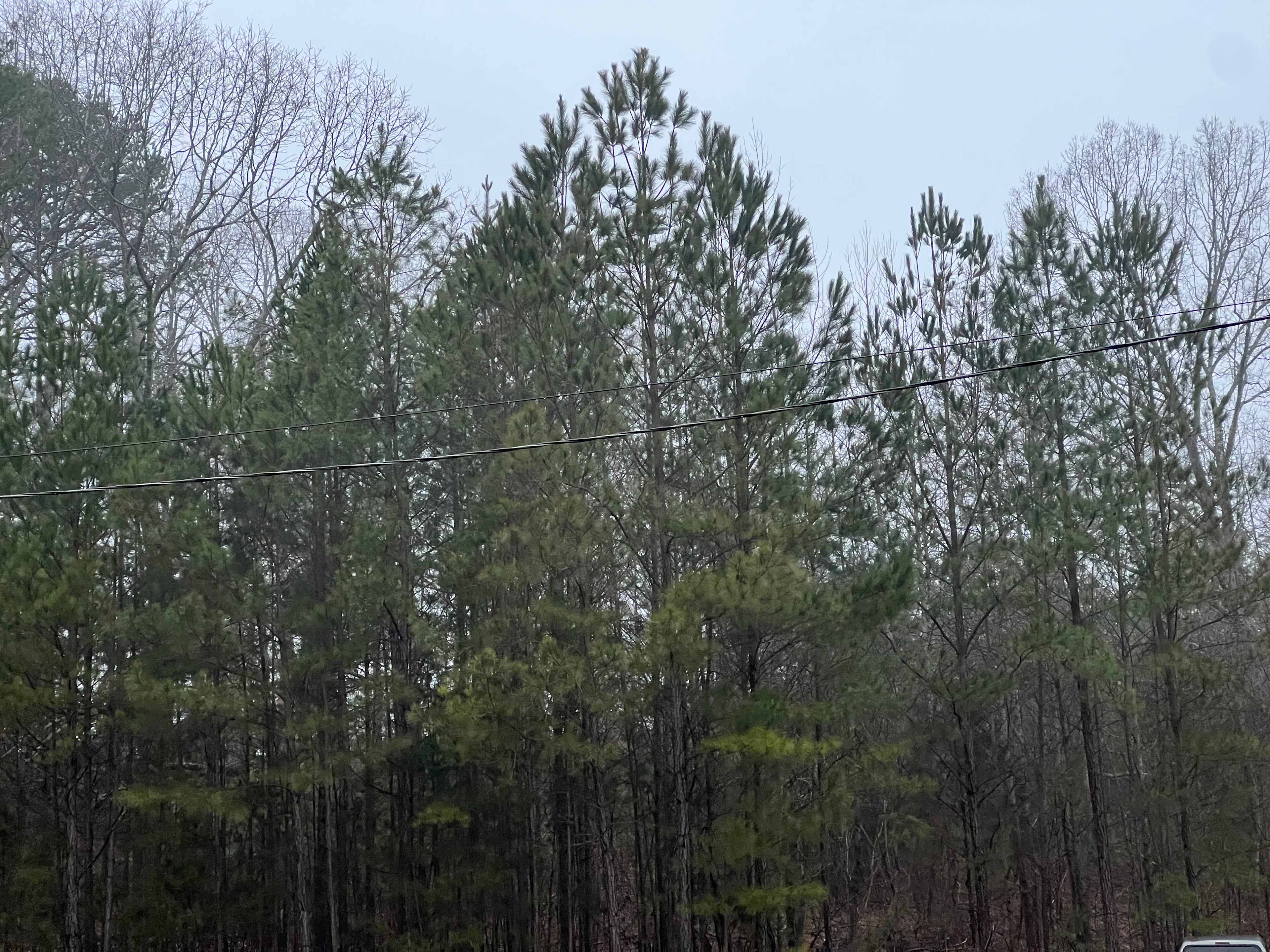 Pickwick Adventure Camping