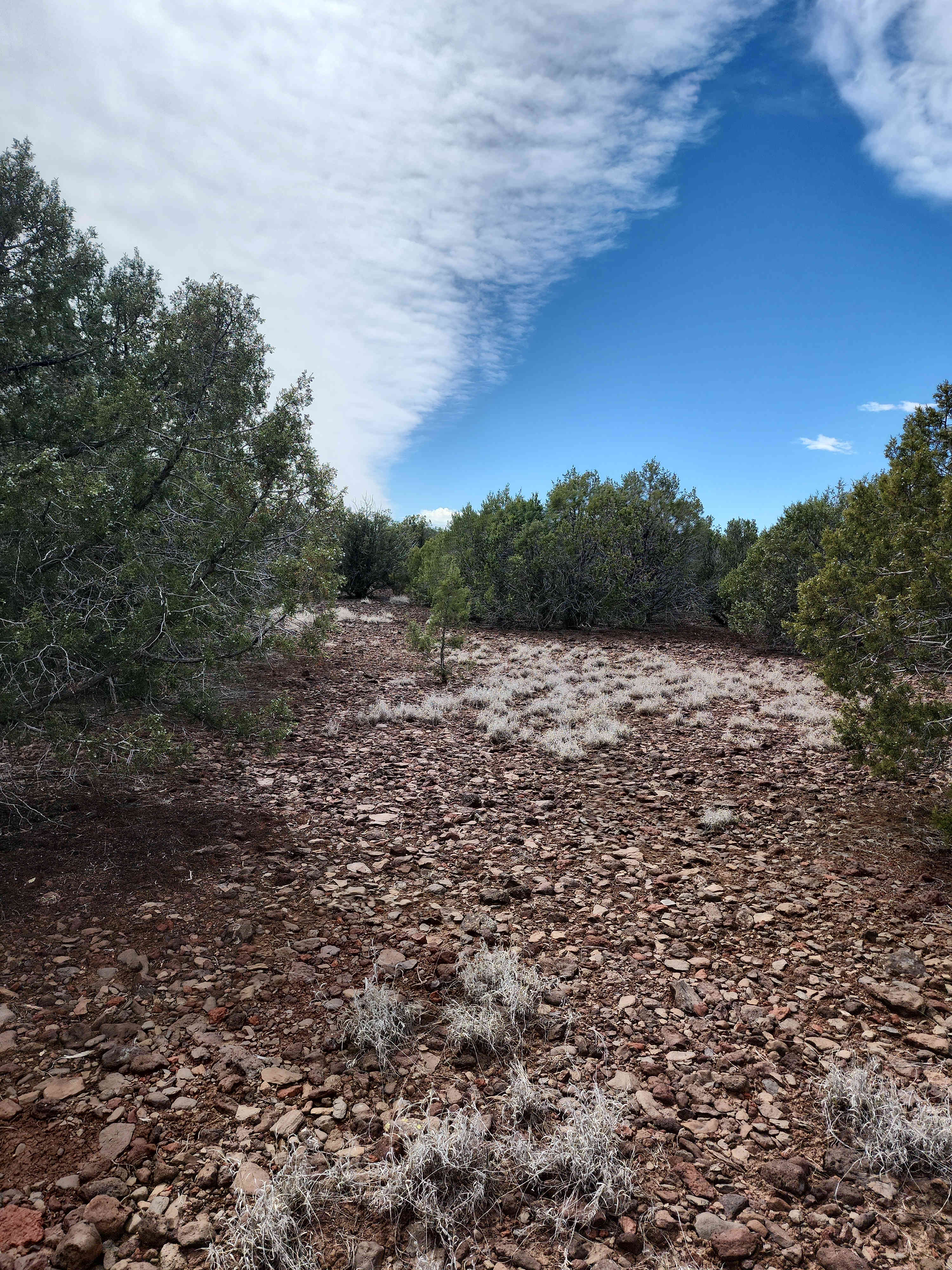 Kaibab Nature’s Hideaway