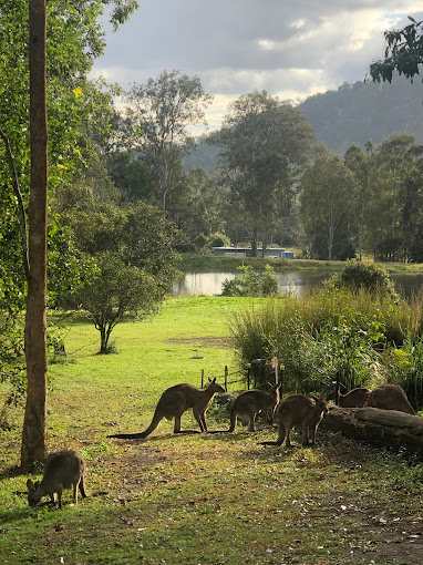 Crystal Waters Eco Park