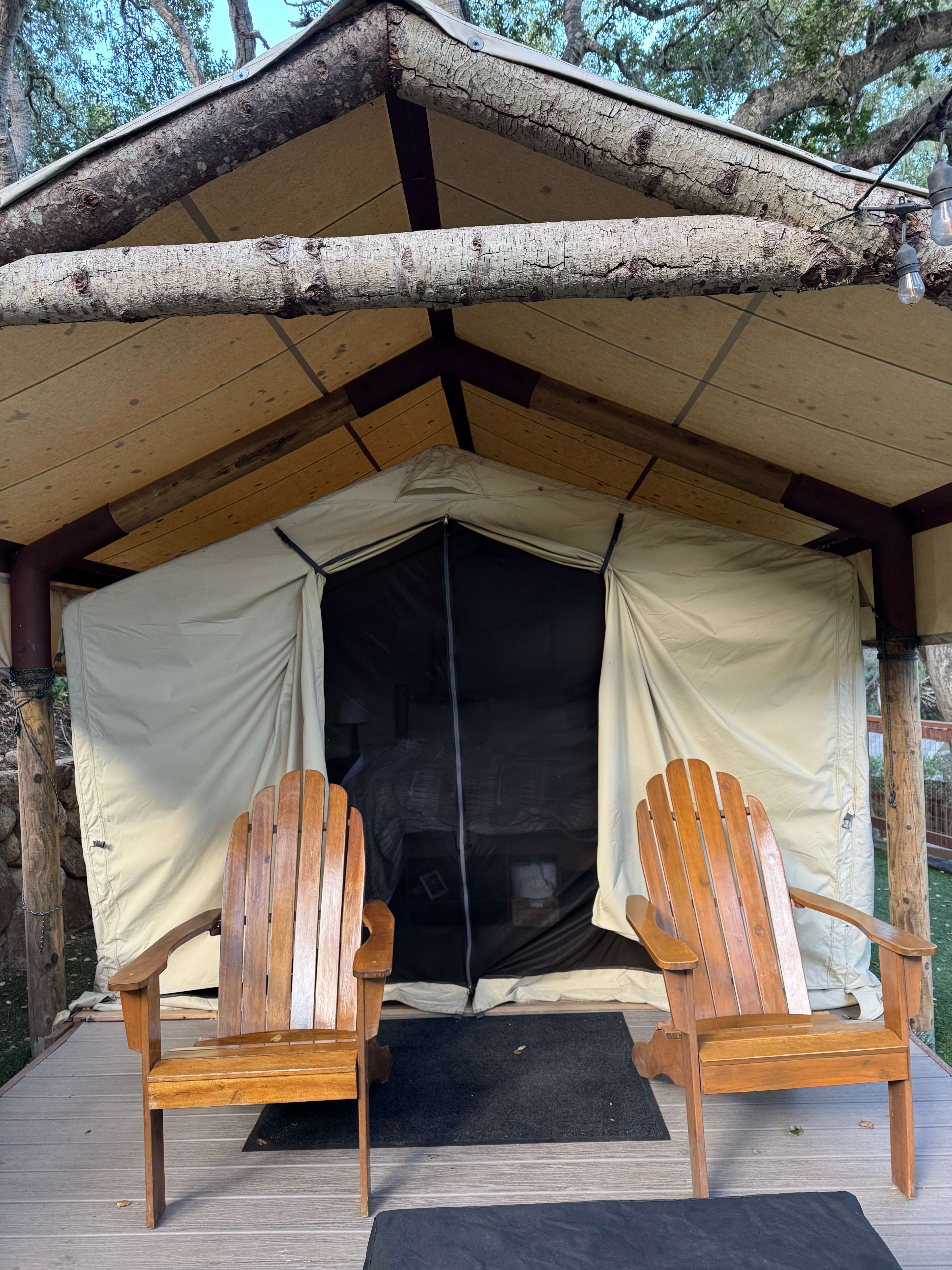 Saddle Mountain Carmel