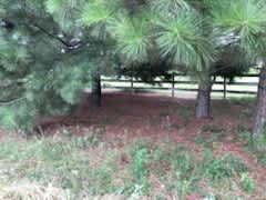 JM Stewardship Ranch