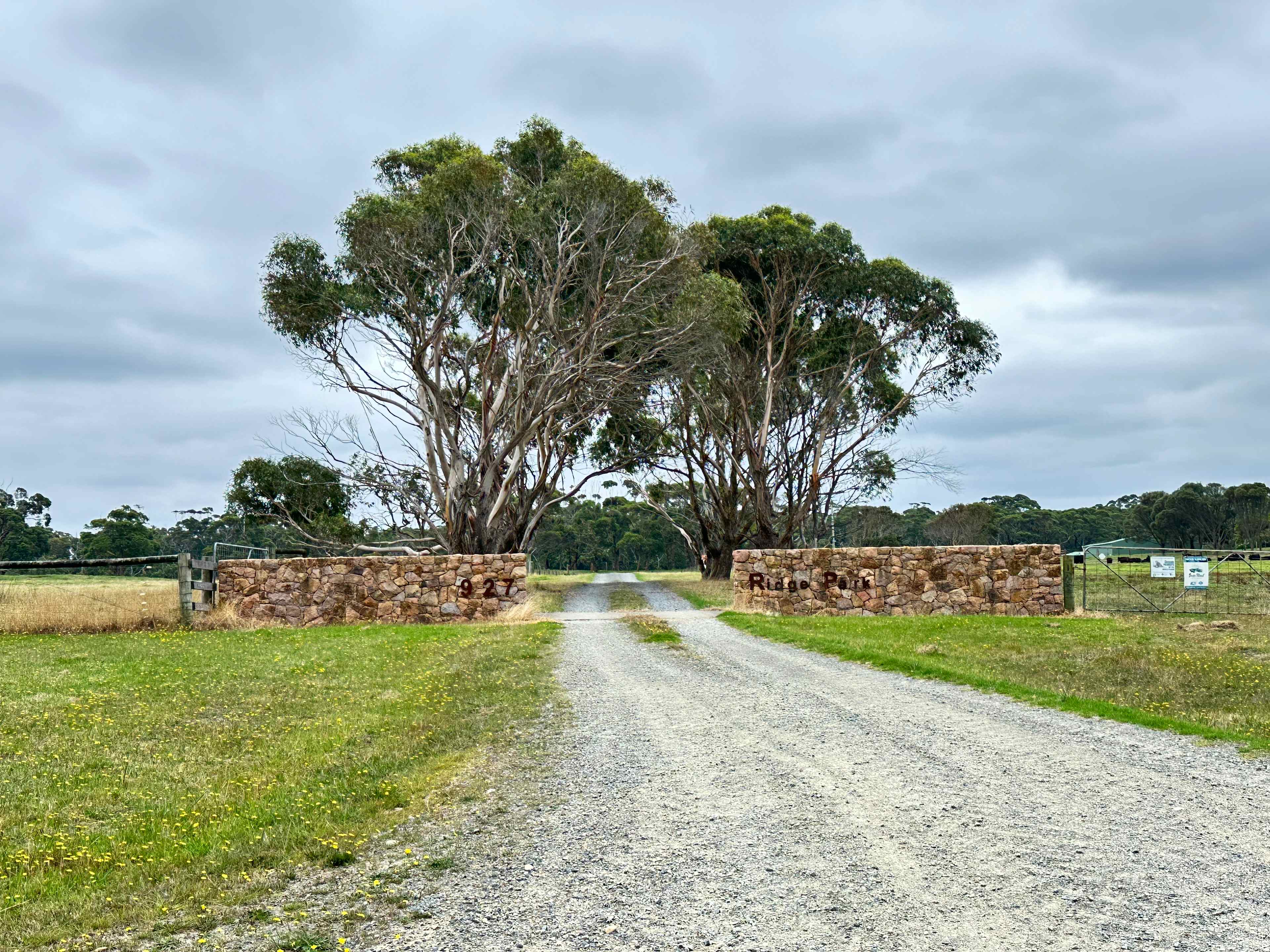 Ridge Park