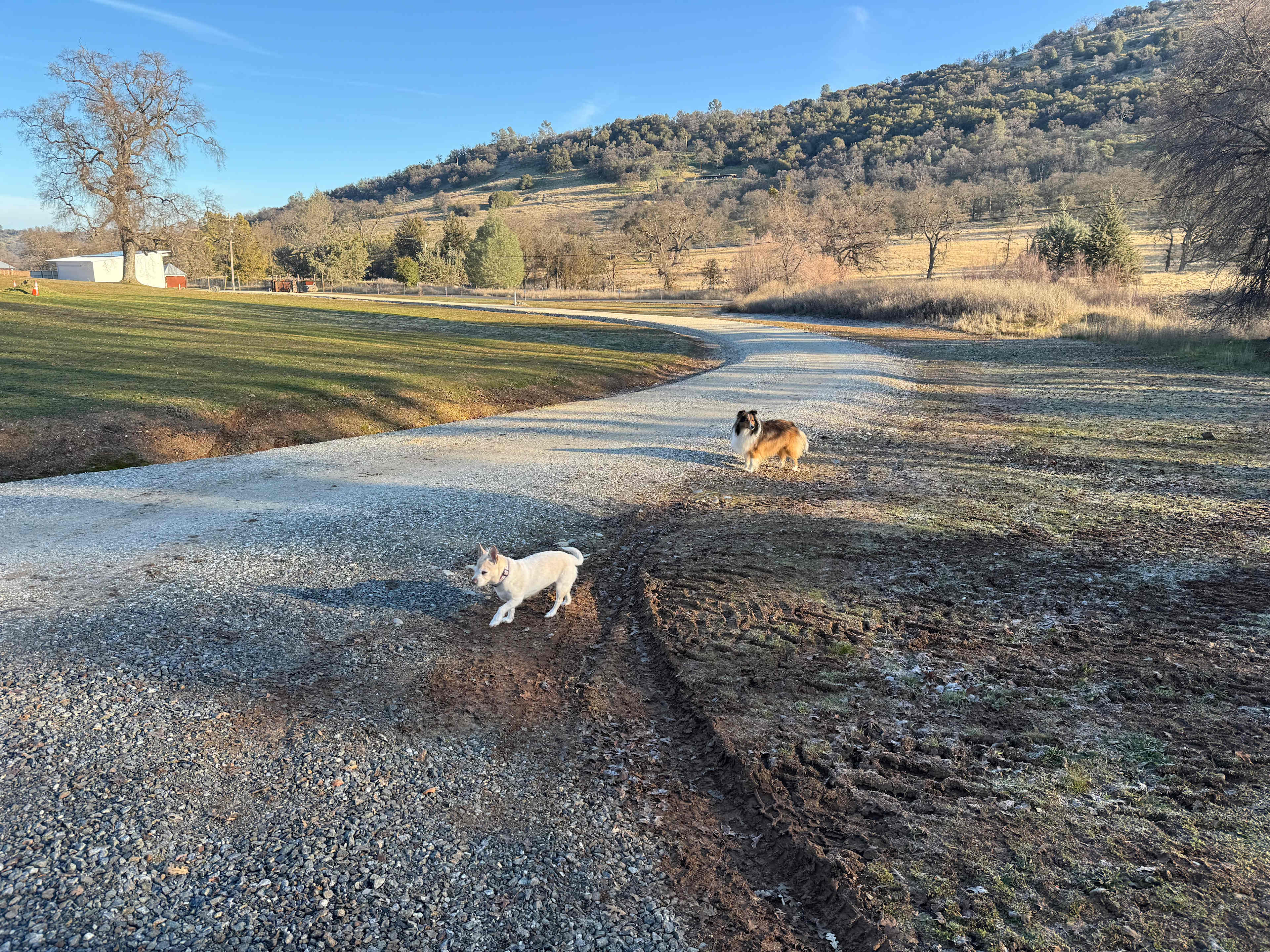 Part of circular driveway around the winery and camping