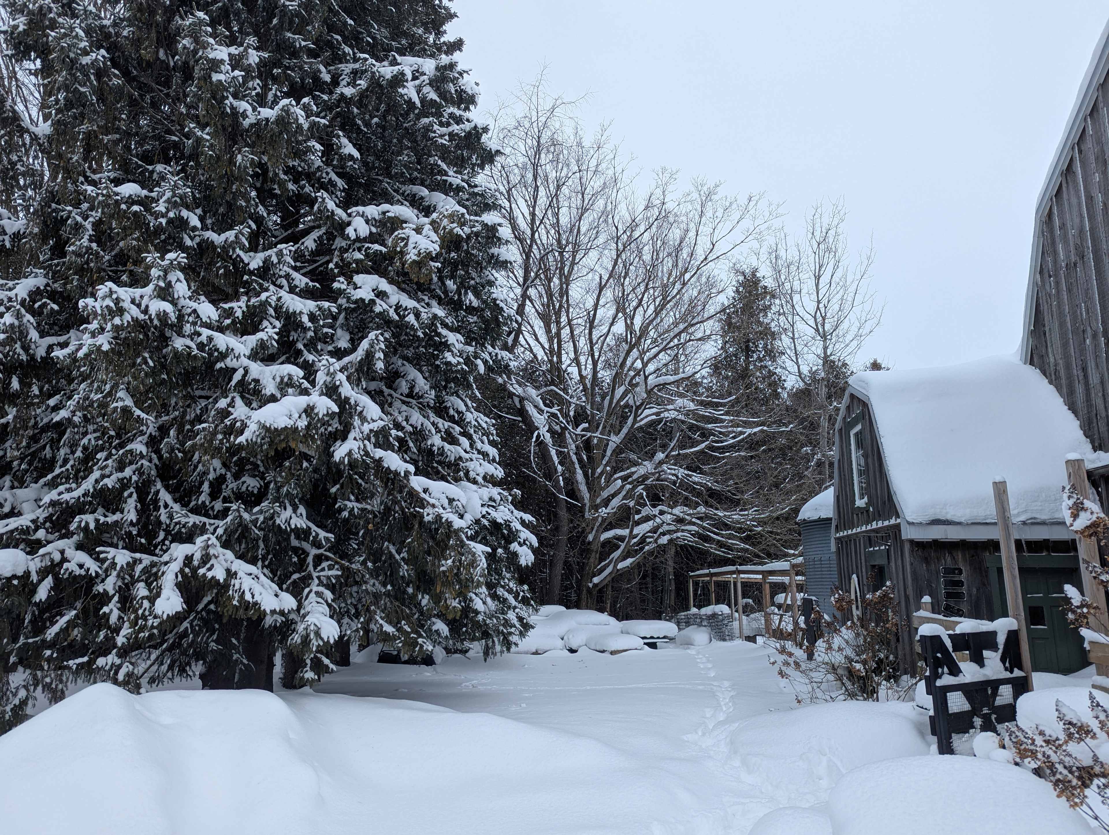 Nourished In Nature Tula Tiny Cabin