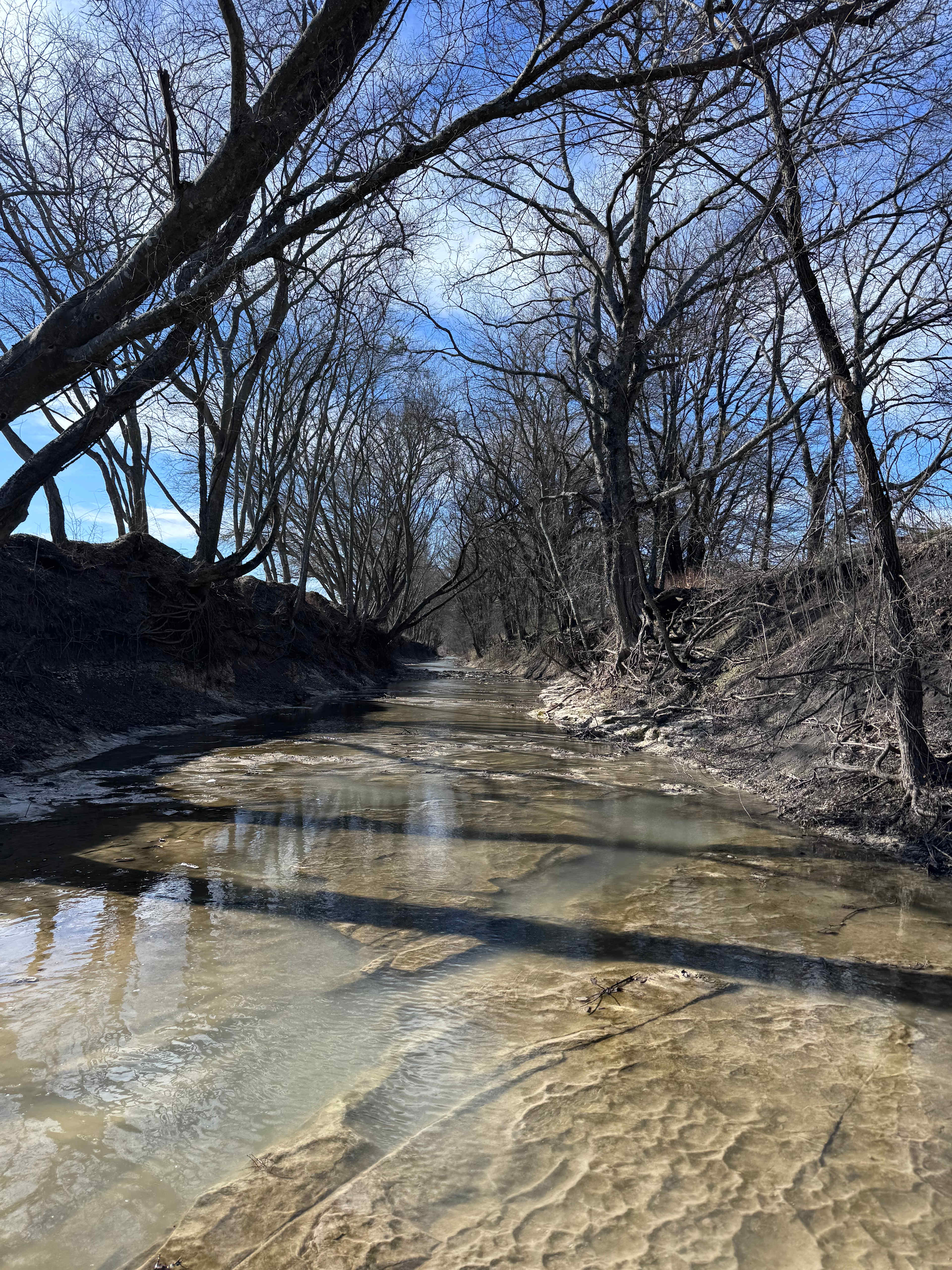 The PARK at Brushy Creek