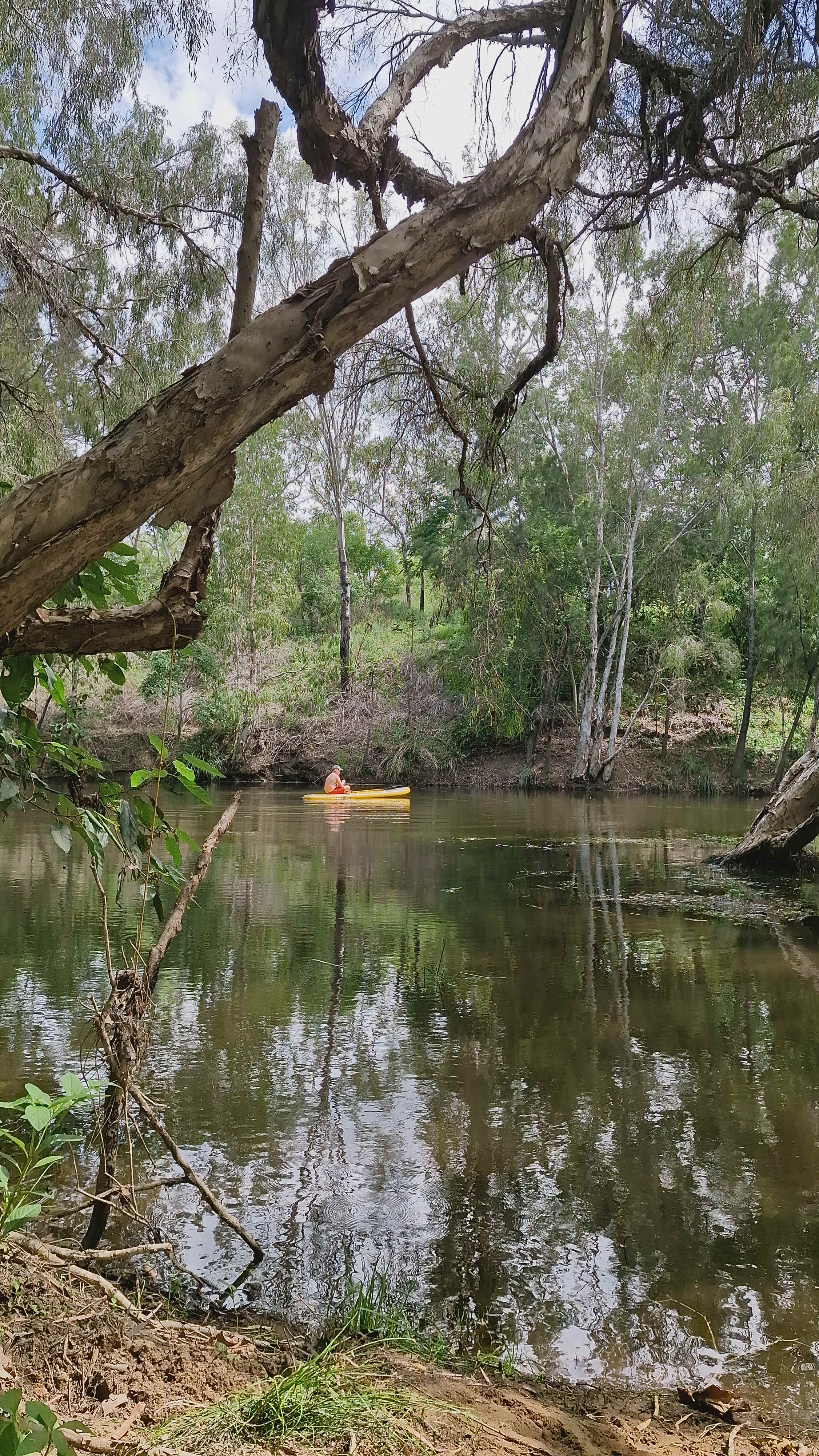 WillowVale Park