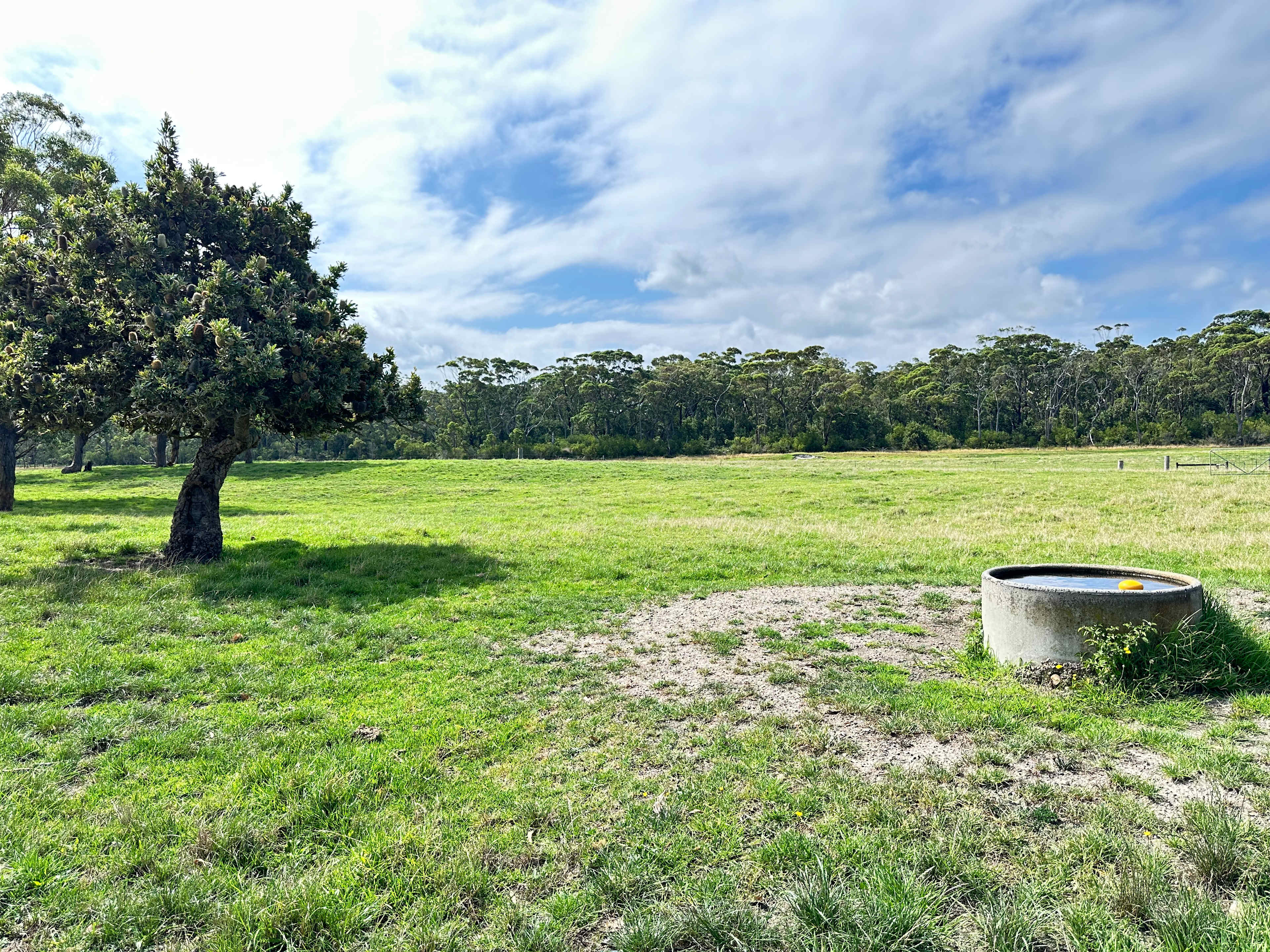 Ridge Park
