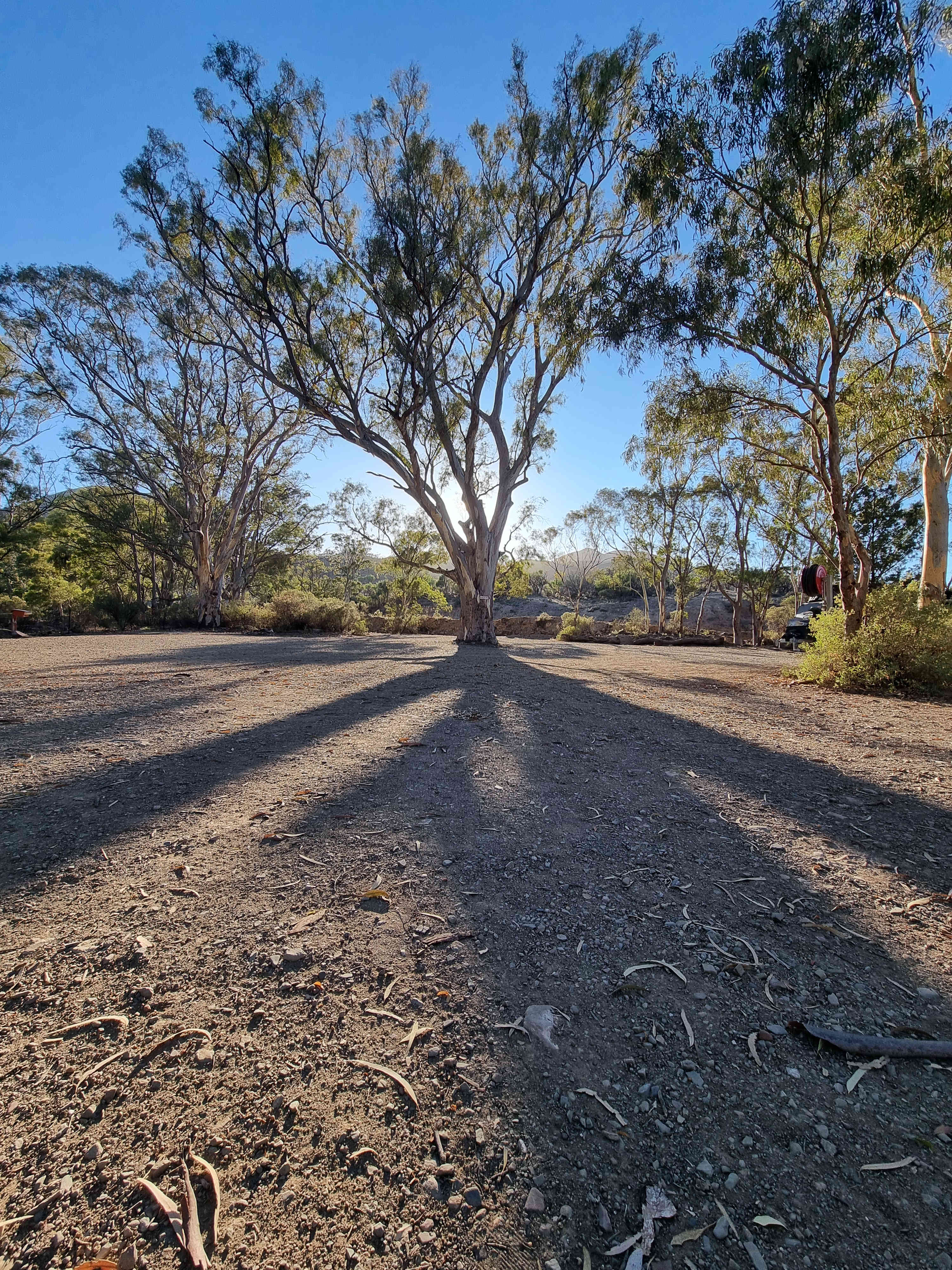 Spear Creek Holiday Park
