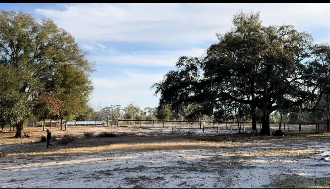 Big Oaks Dog And Horse Camping