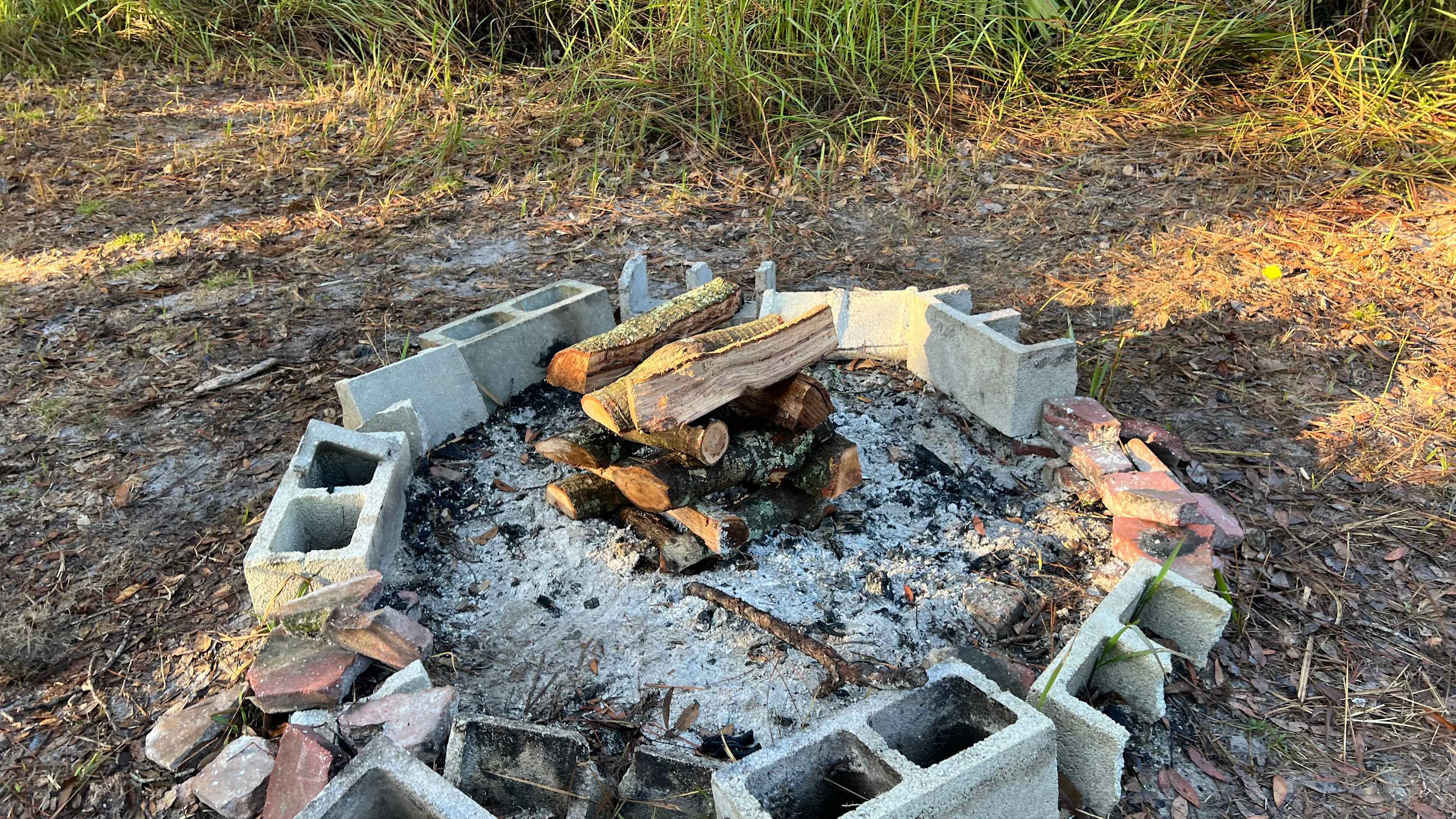 Left some wood for the next camper, is that you? 