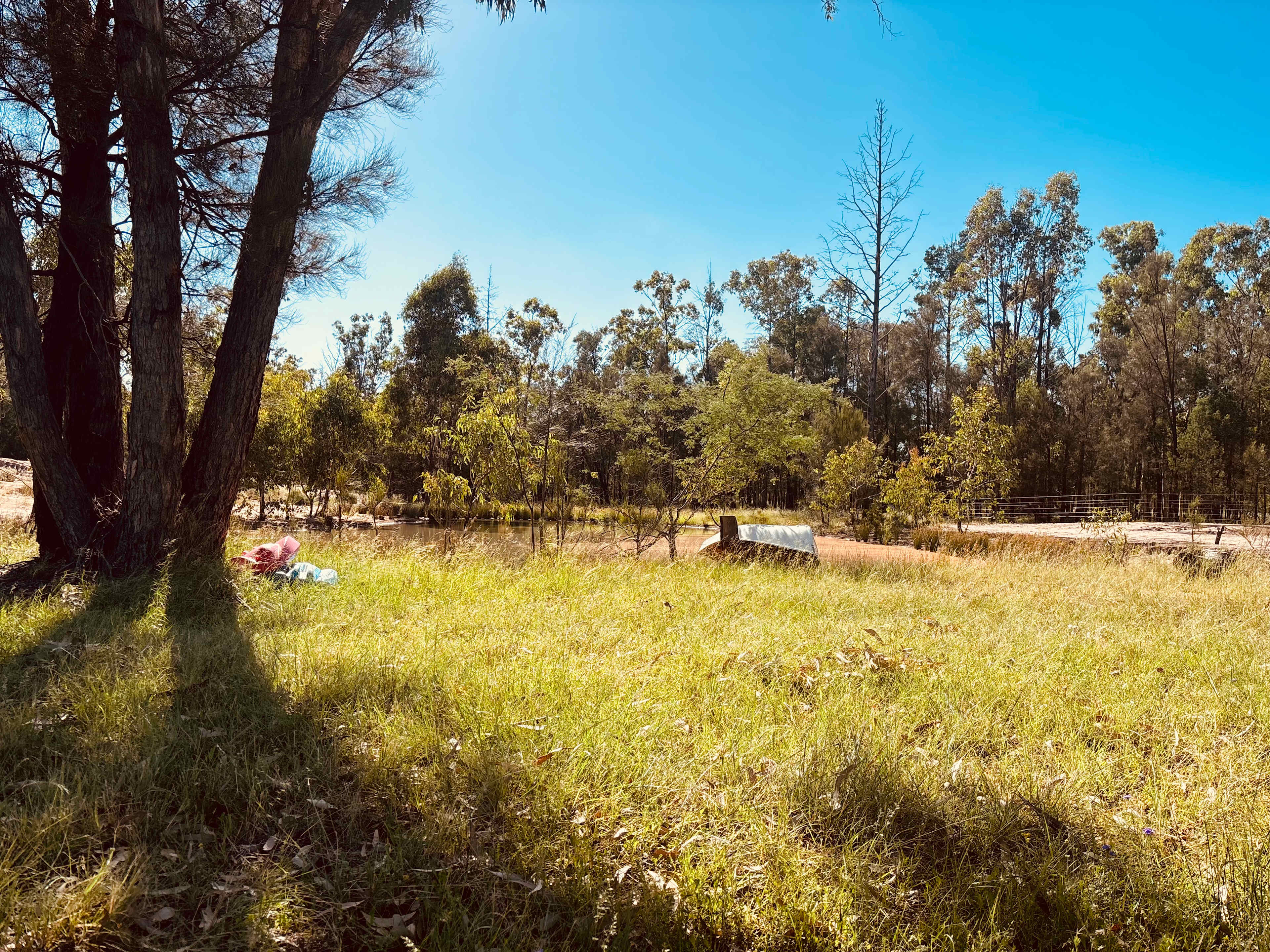 Kurrajong Bush Camping