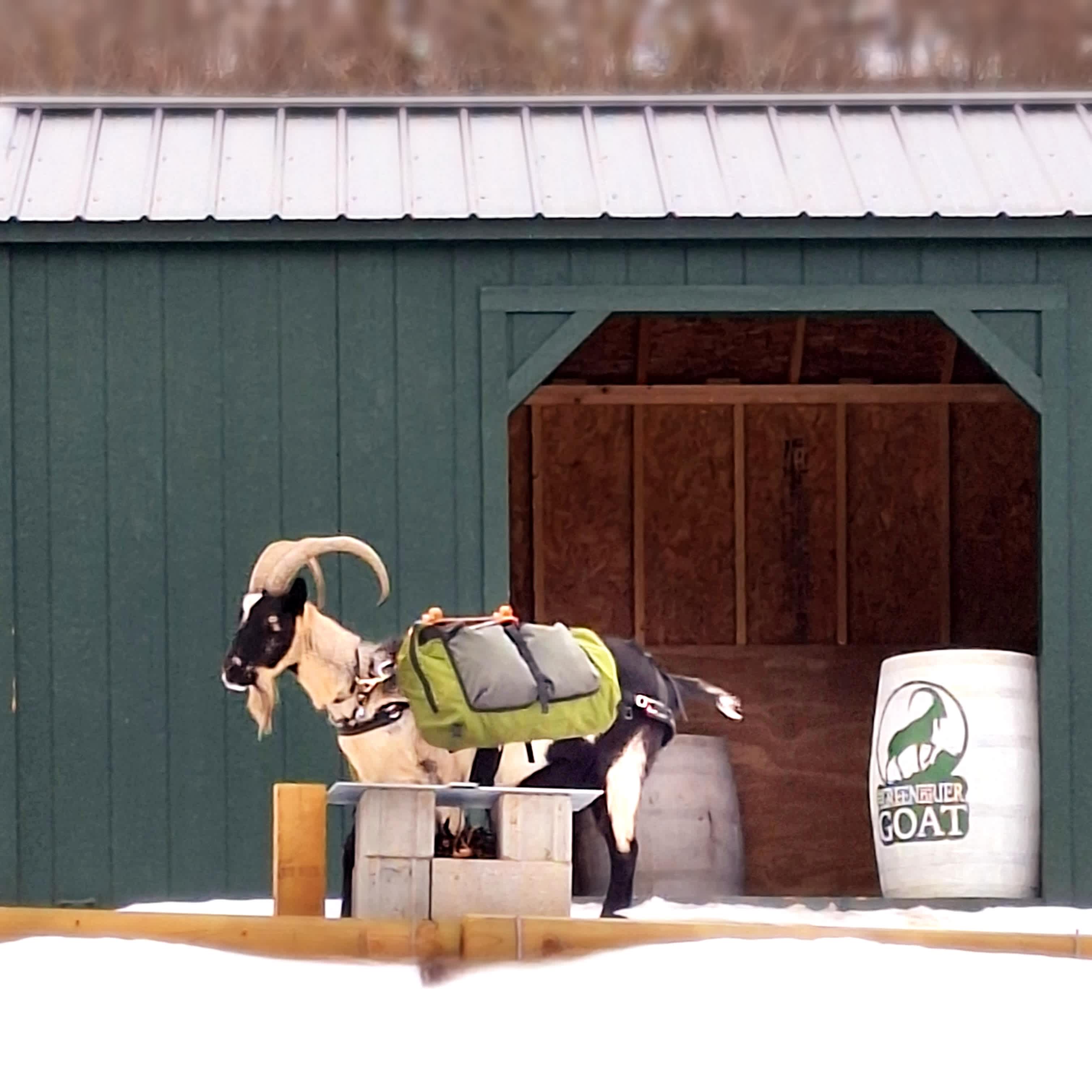The Greenbrier Goat Trail Shelter