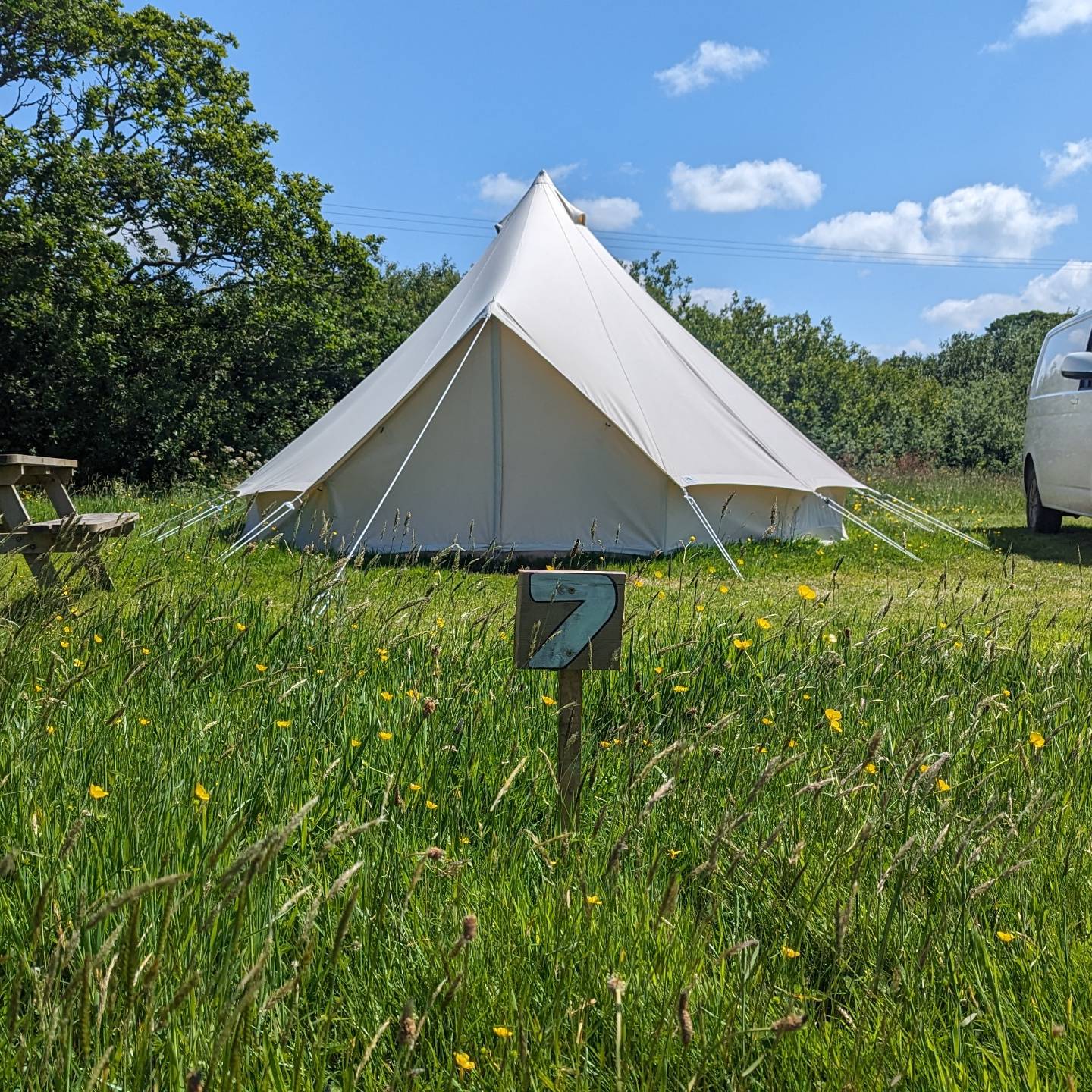 Pitch 7
Bell tent not included but you are welcome to bring your own.  This is a 5 meter bell tent and there's still plenty of space to park your vehicle in the pitch too.