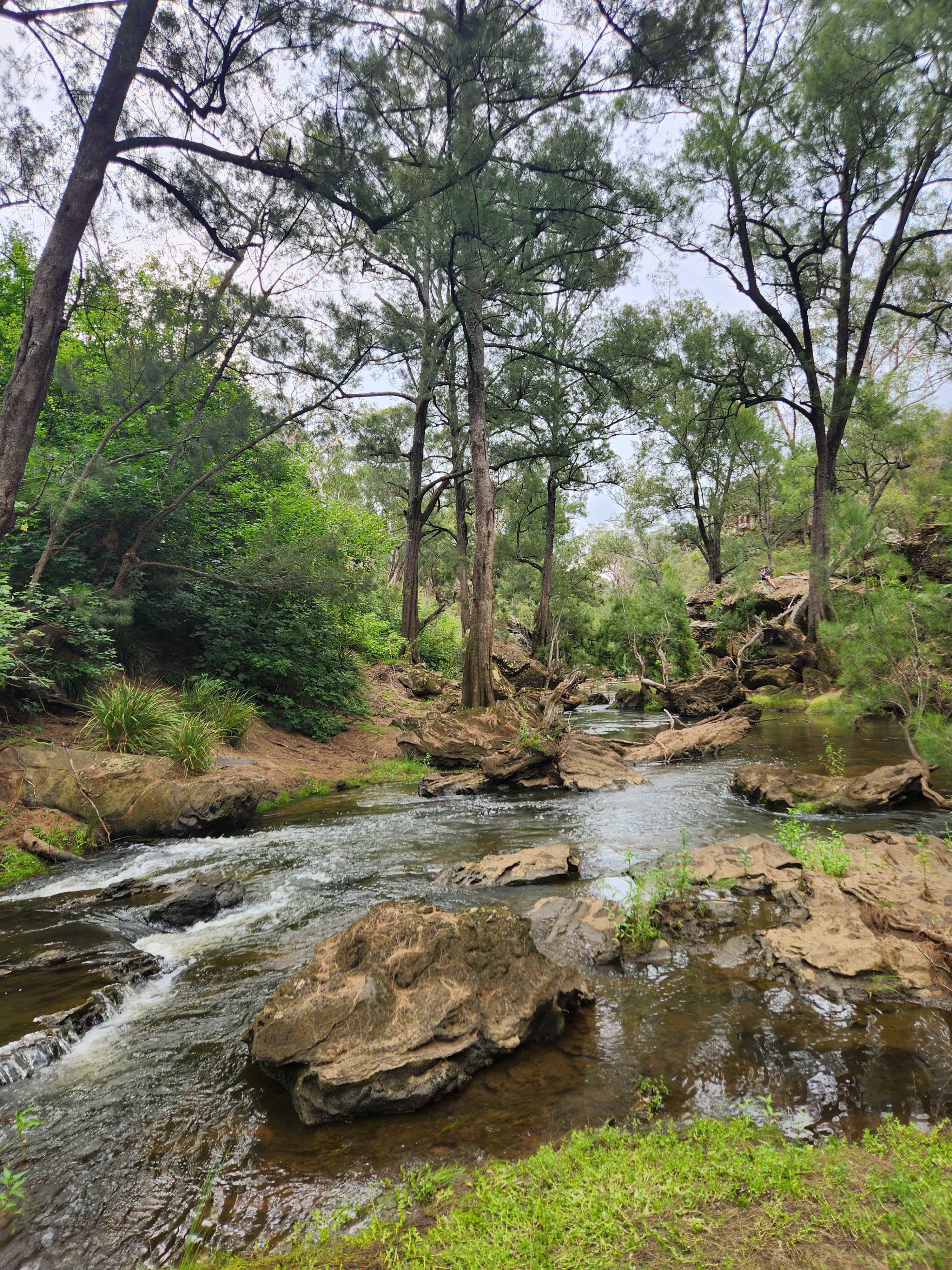 Noonameena - Sleep in the Bush
