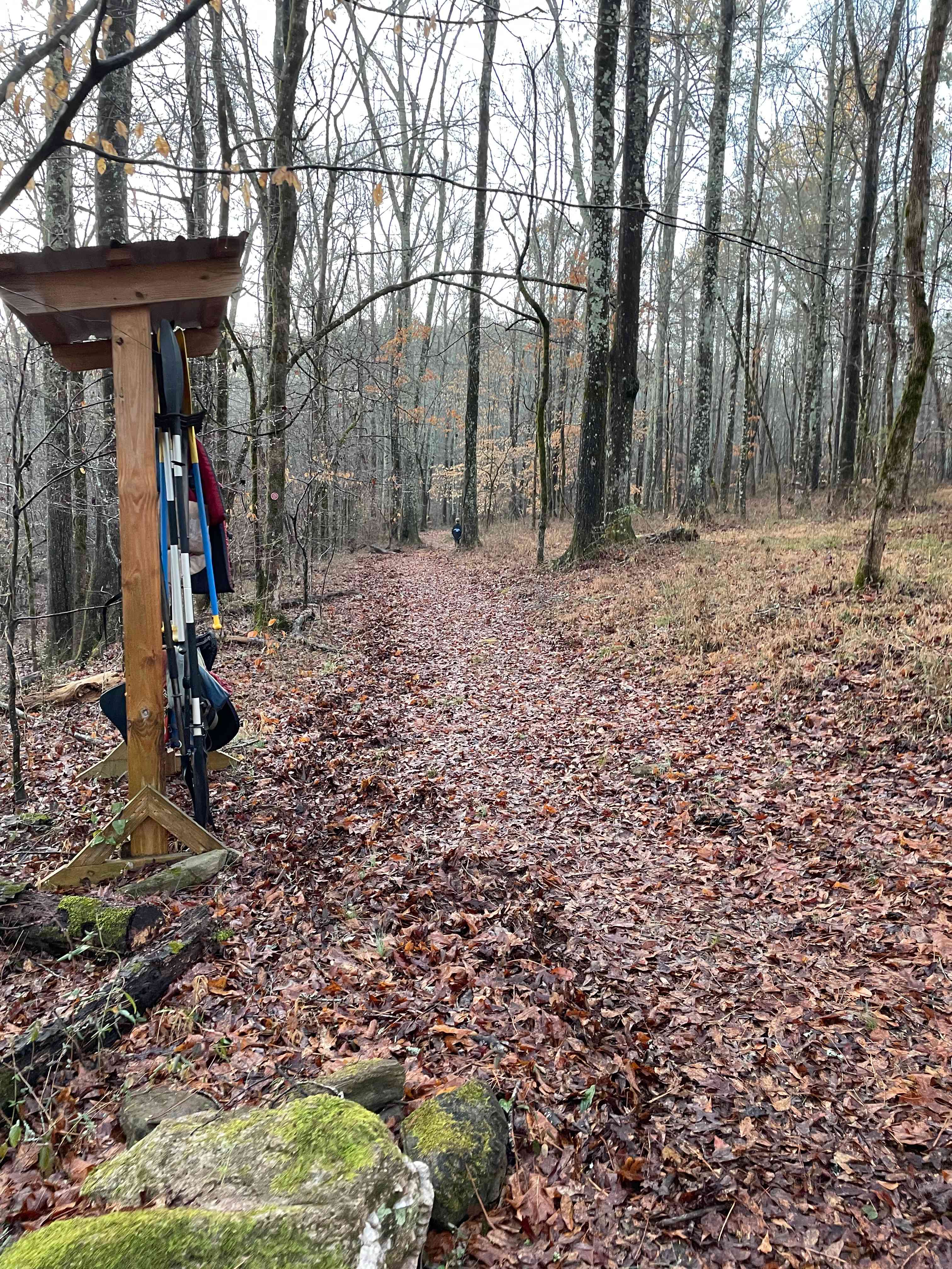 Trail from river