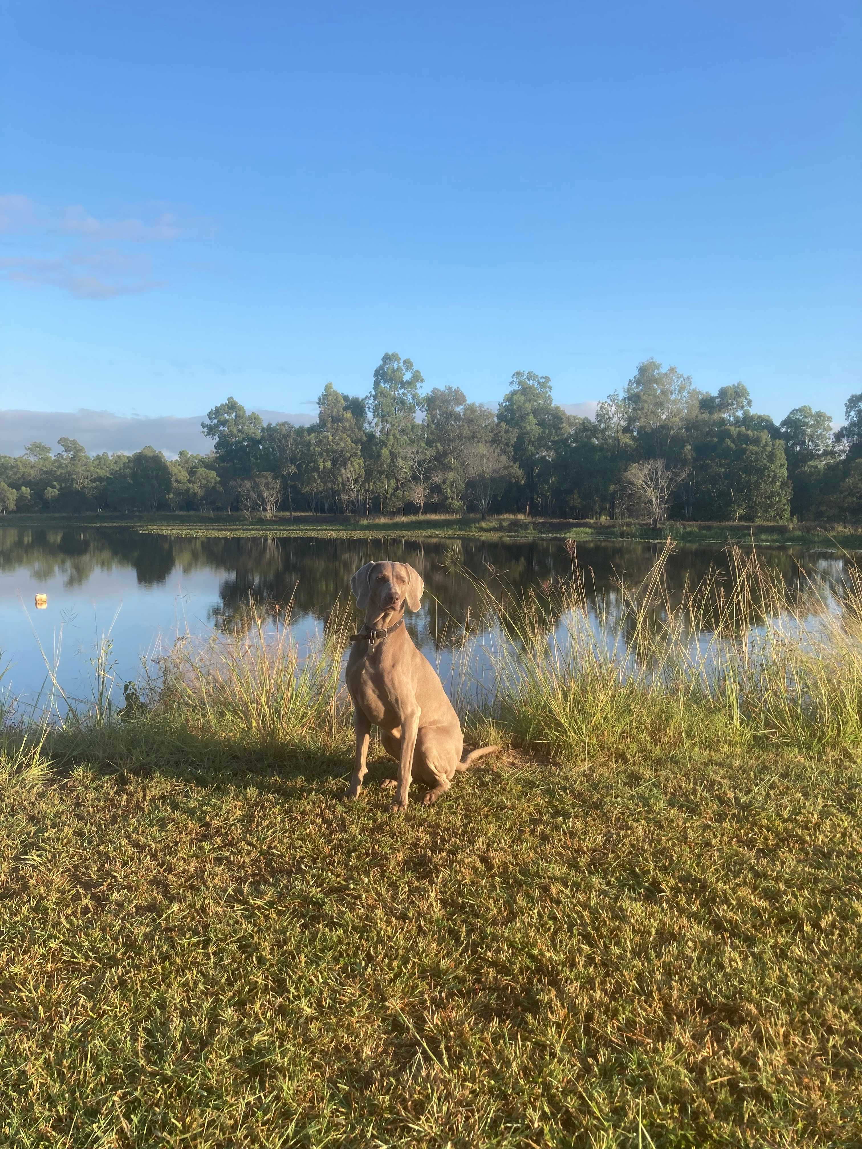 Lake Hagislea Farm