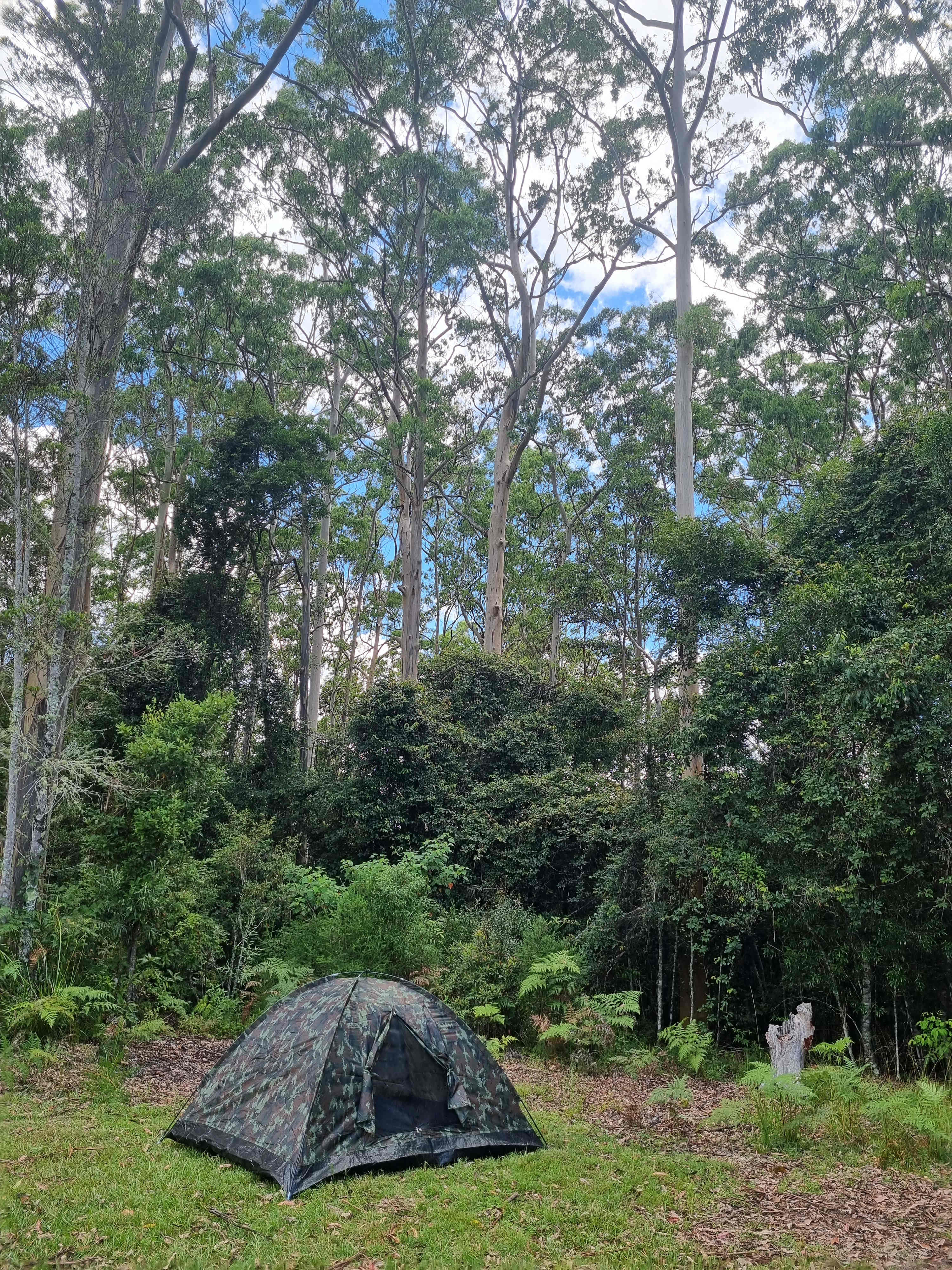 Secluded Mountain Camping