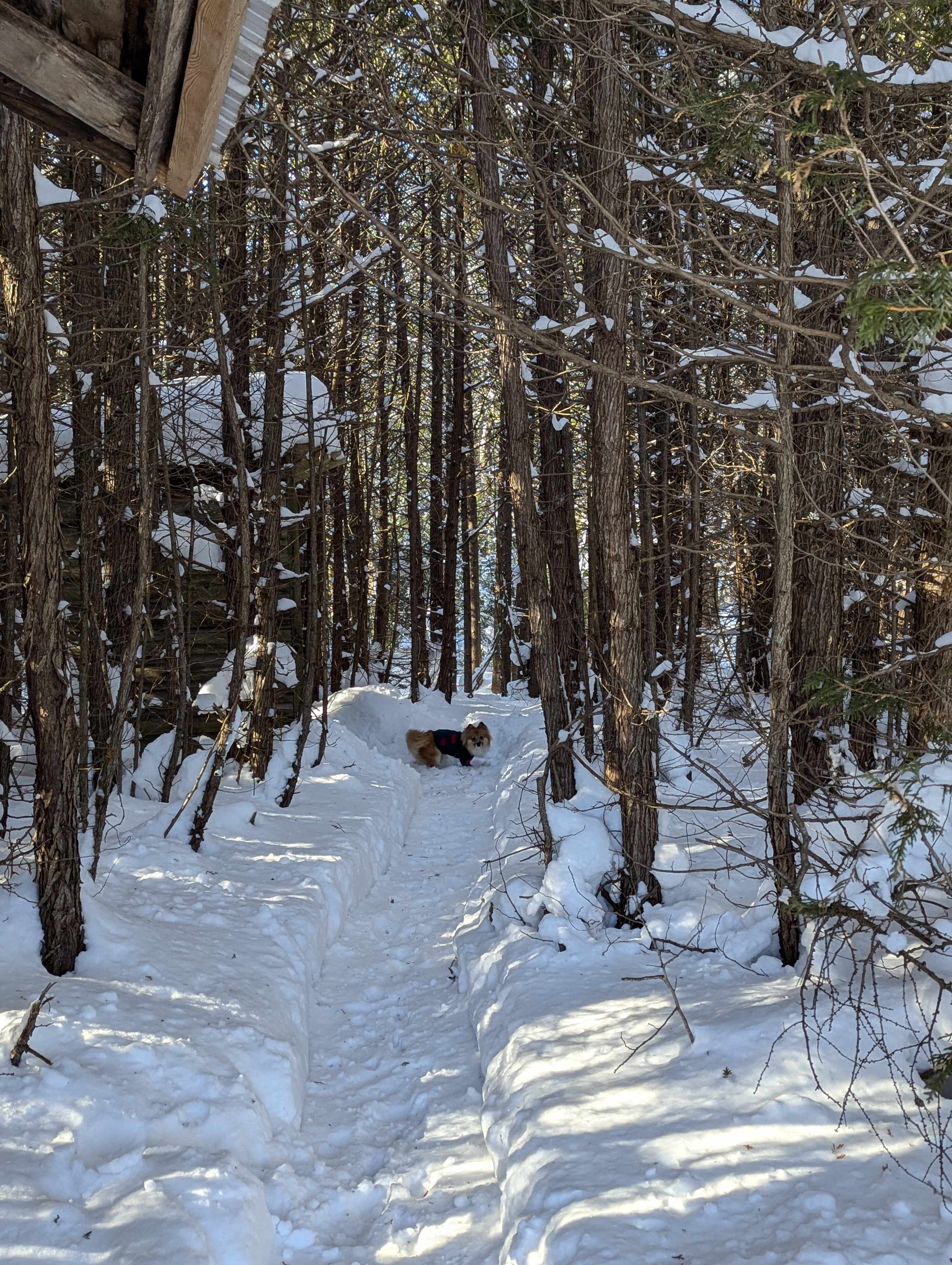 Edges Sideroad Springs