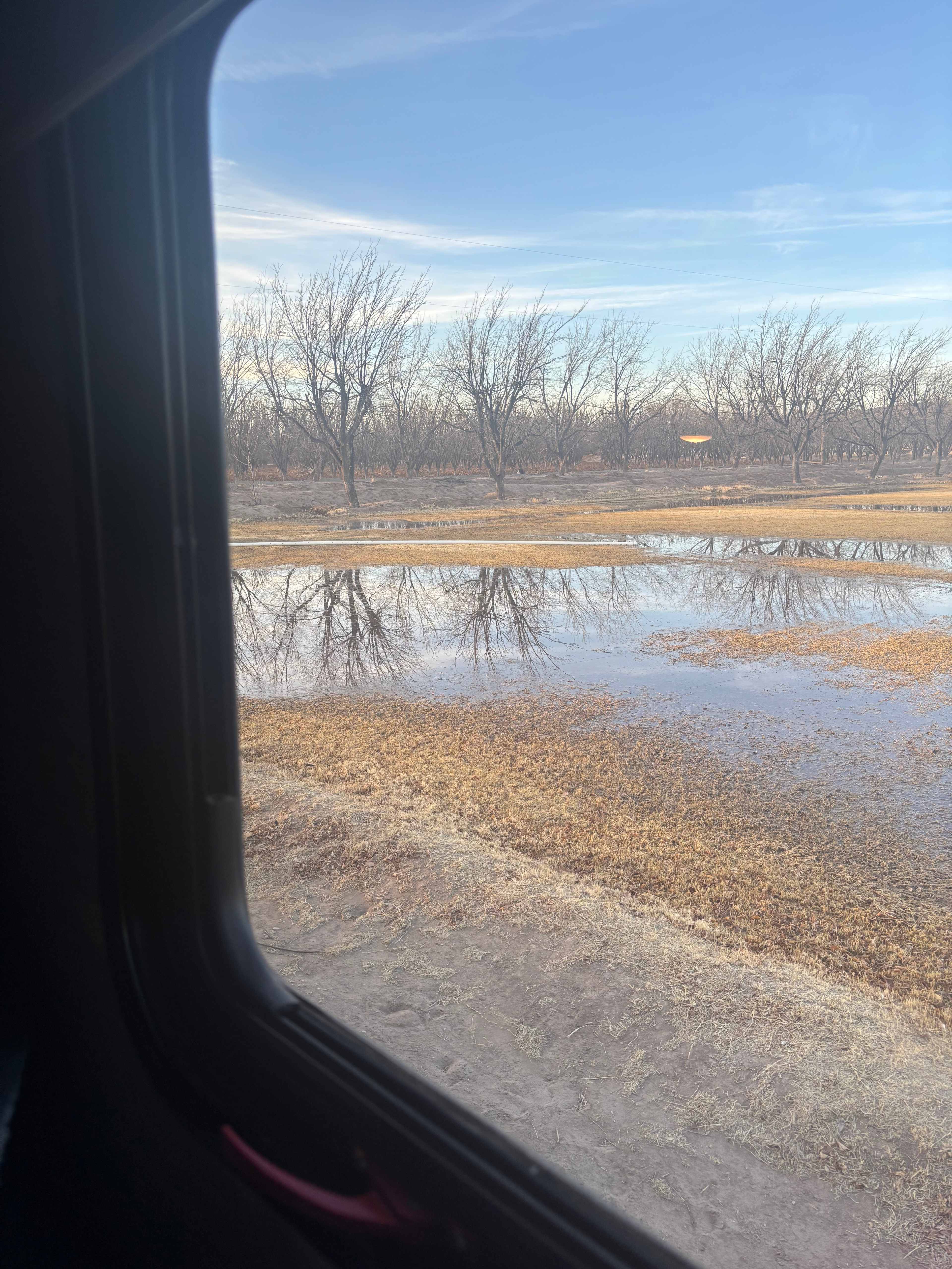 View from My rv window 