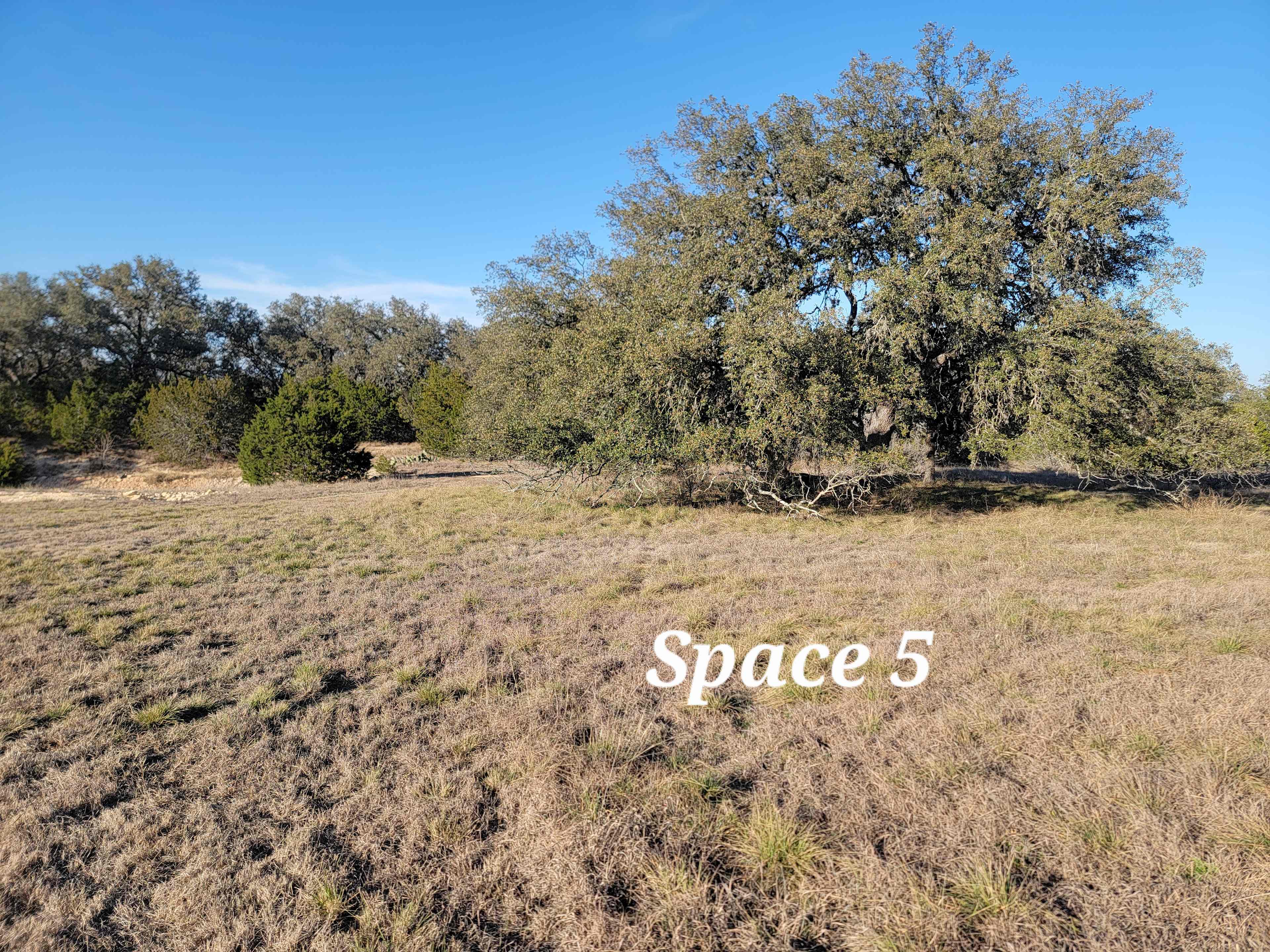 Space 5 has plenty of room to branch out in front of, behind, and on the driver's side of your RV. It is important to us to create a place that isn't crowded so our guests can fully enjoy the natural beauty and our wild guests!