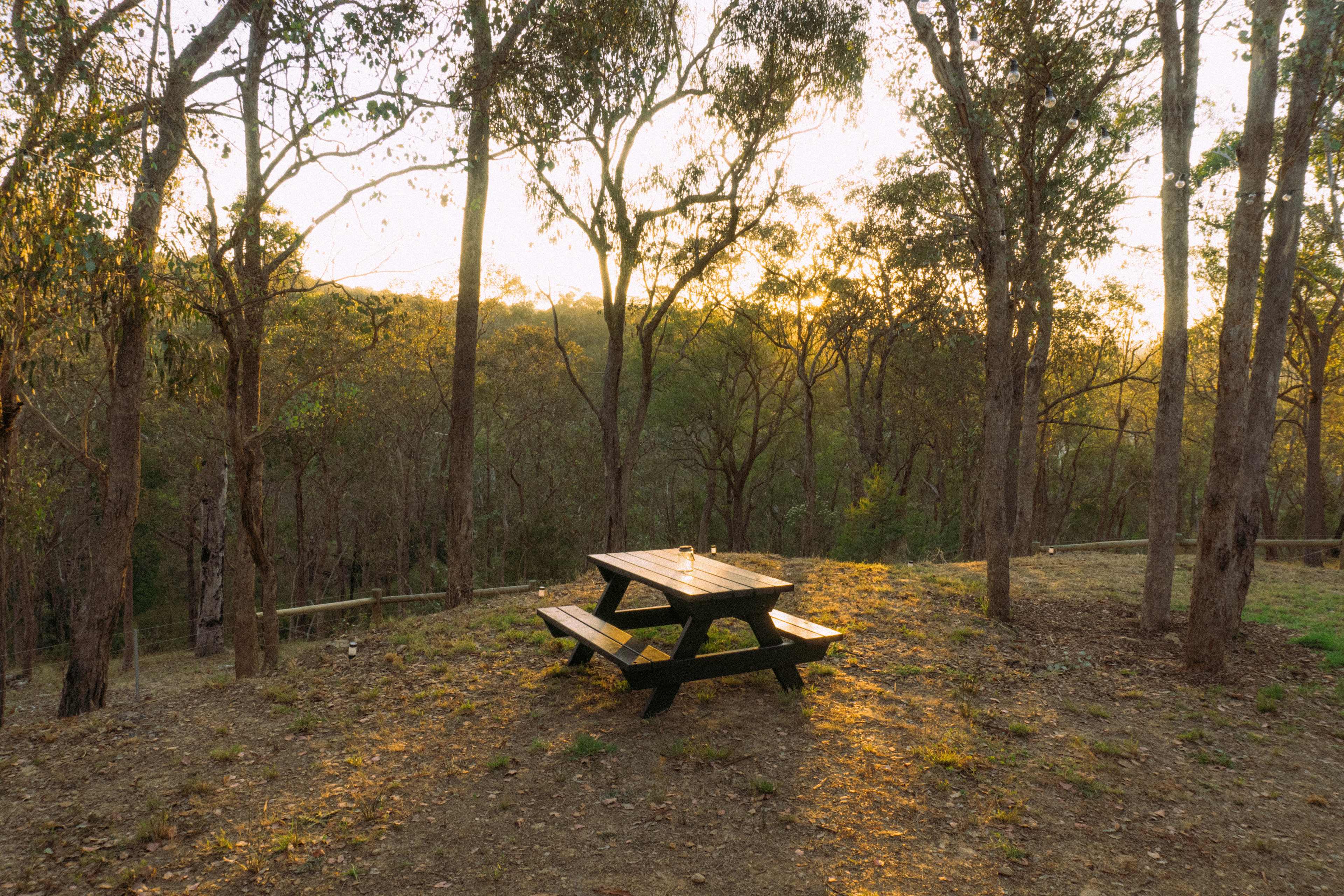 Bushland Hideaway Tiny Home