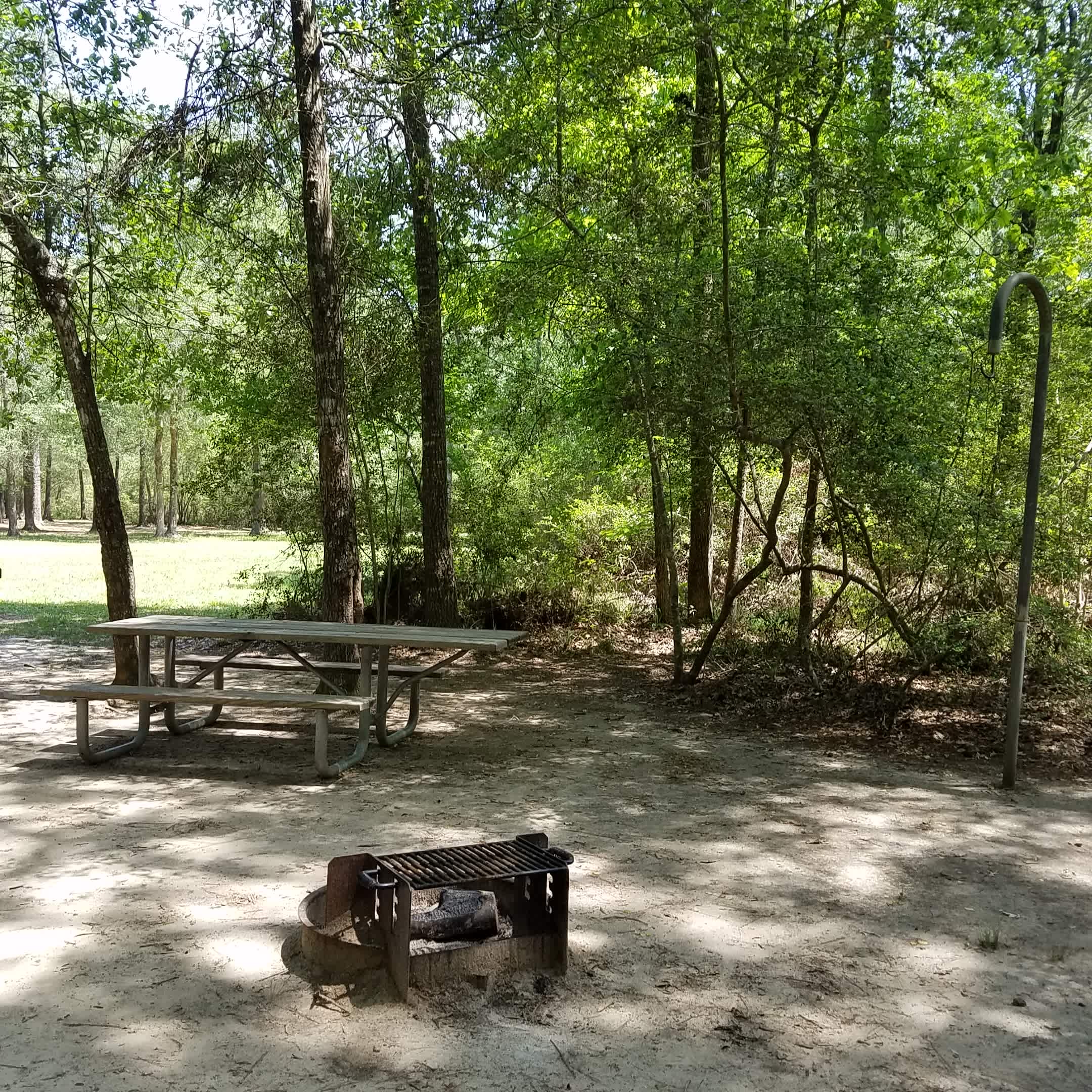 Lake Houston Park Magic By Shell