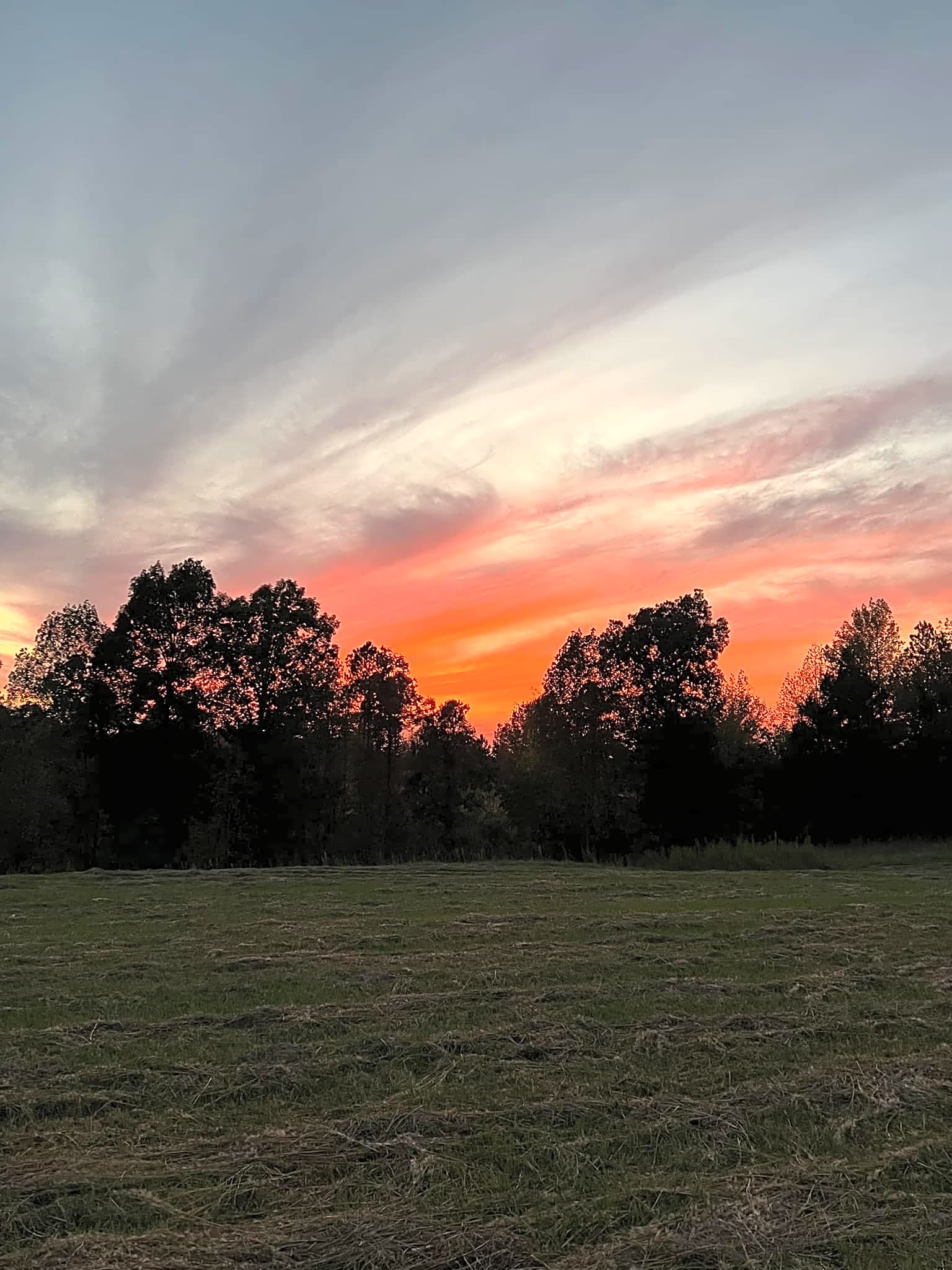 Cedar Ridge Campground