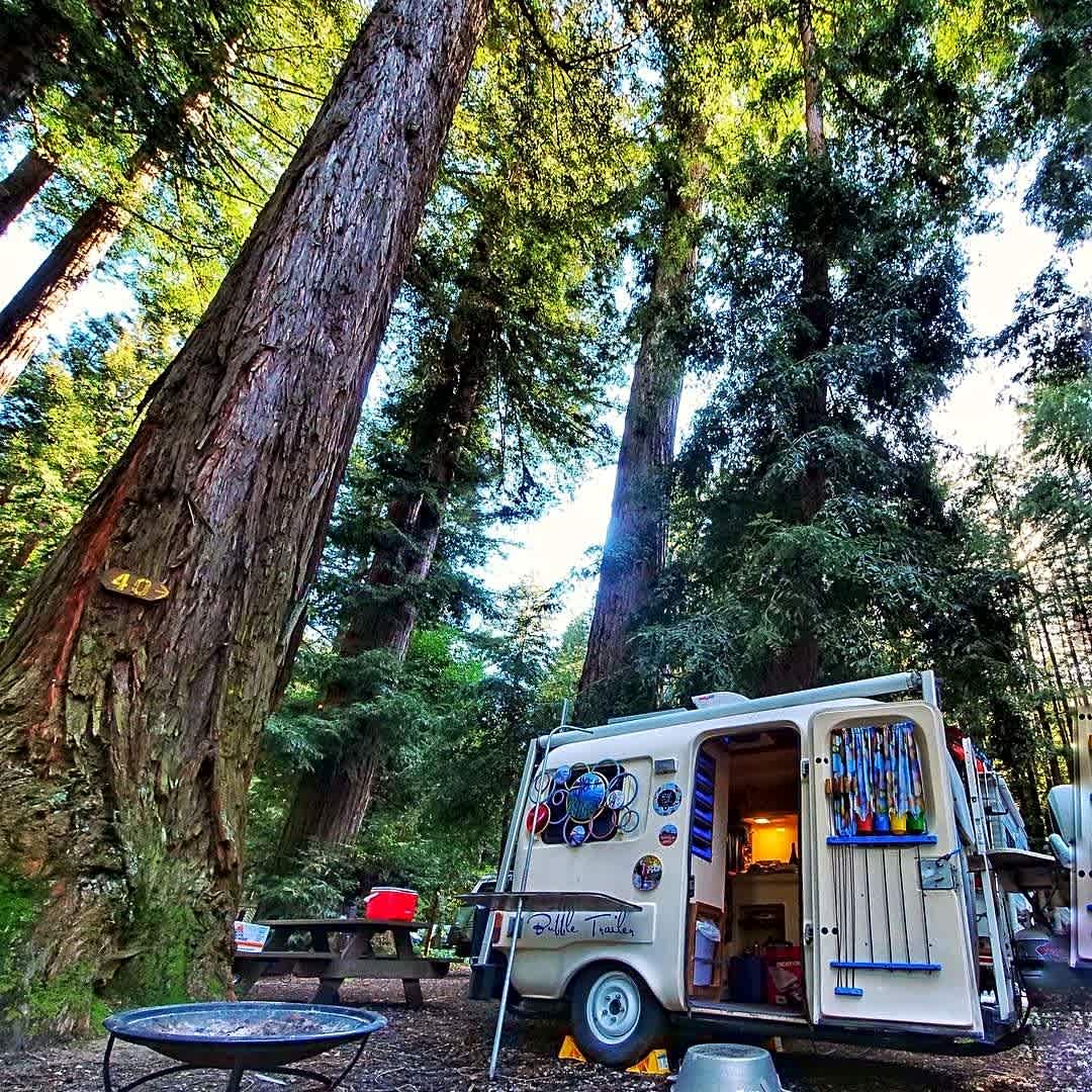 Santa Cruz Redwoods RV Resort