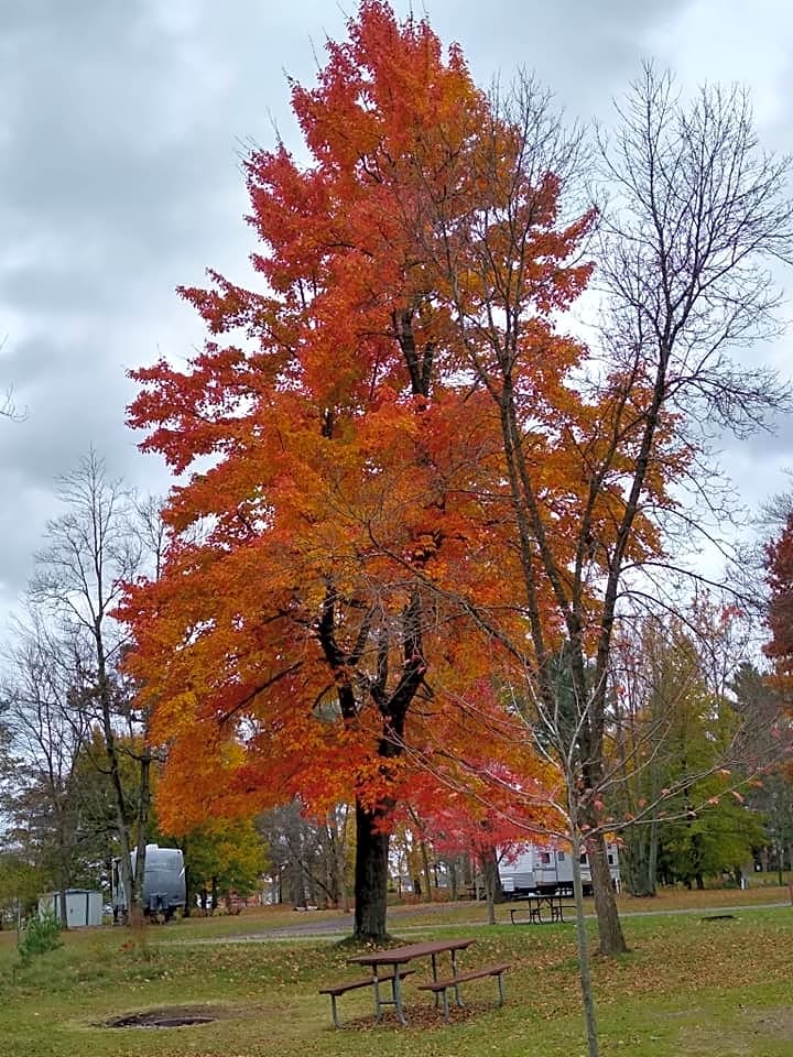 Shawano County Park