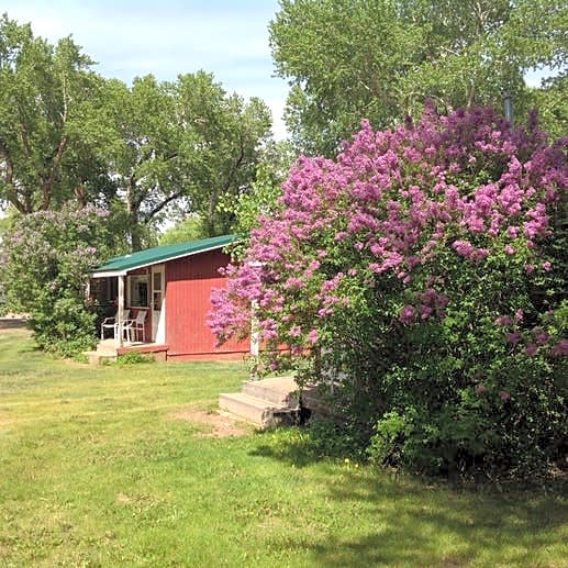 Mogote Meadow Cabins & RV Park