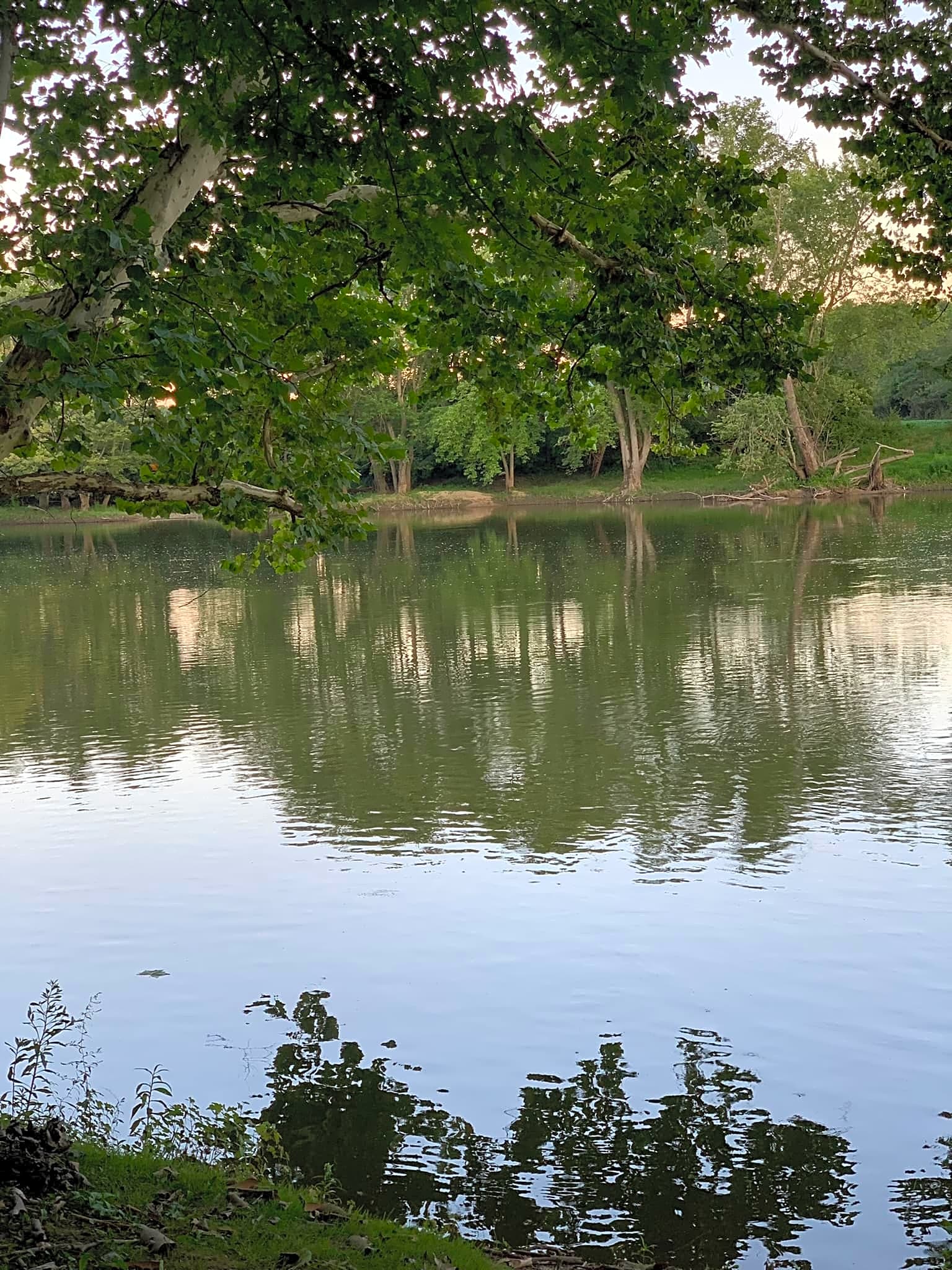 Tall Sycamore Campground