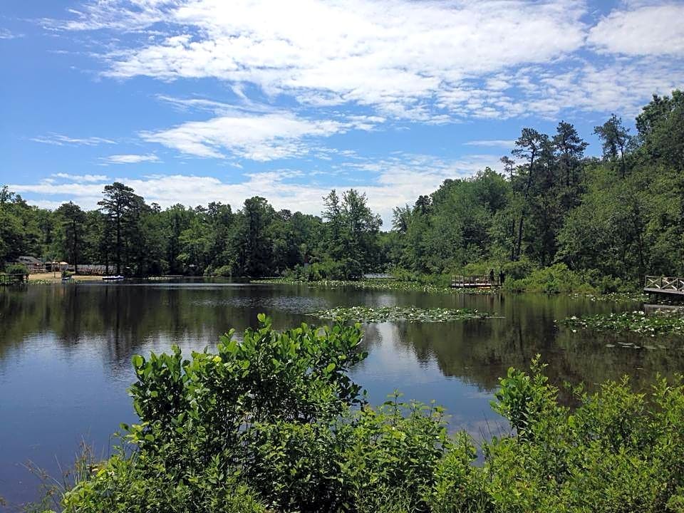 Timberland Lake Campground