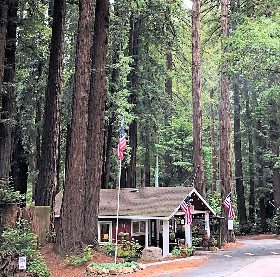 Santa Cruz Redwoods RV Resort