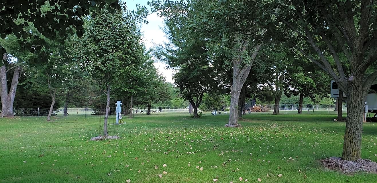 Seidels RV Park