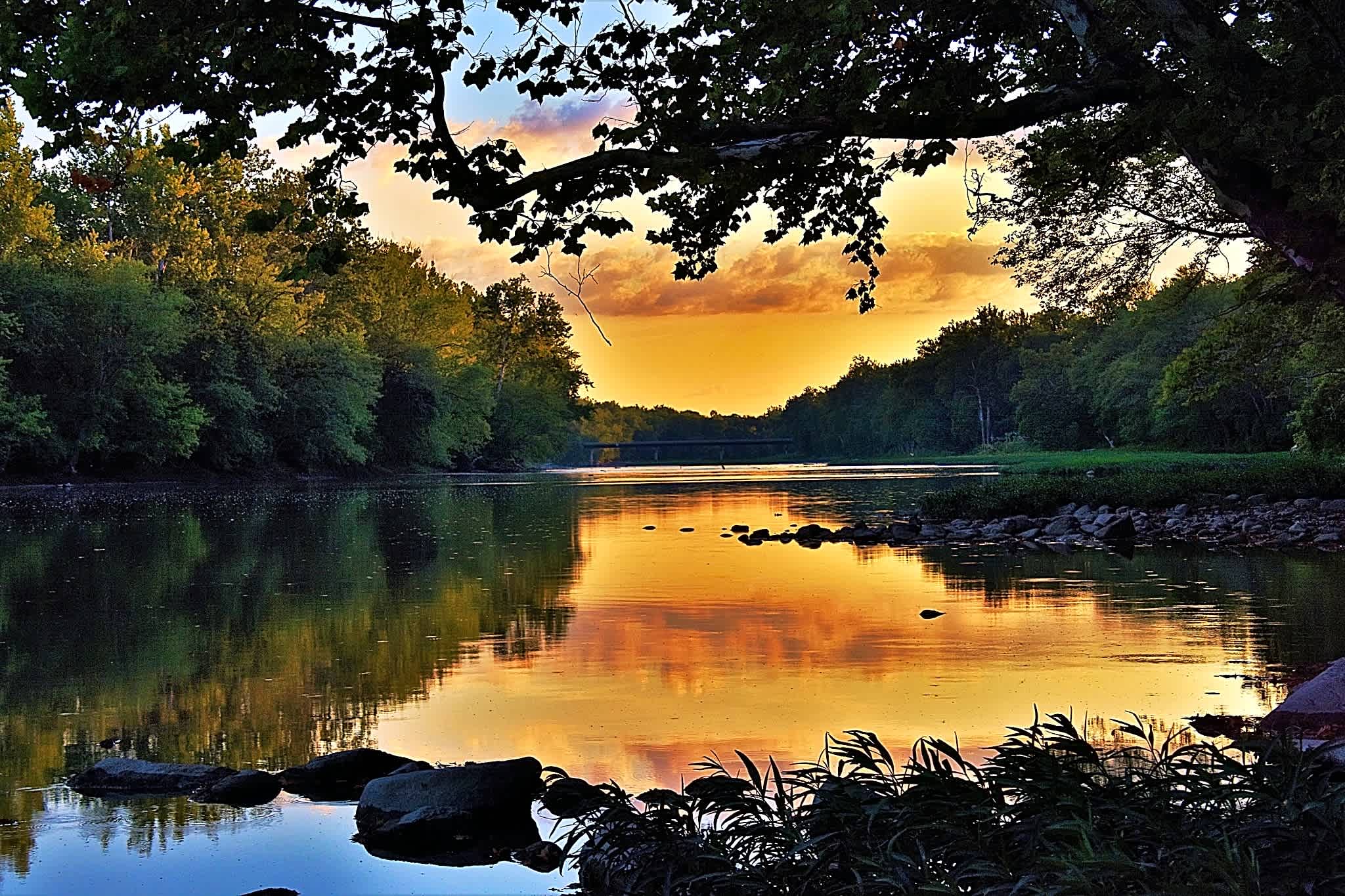 Tall Sycamore Campground