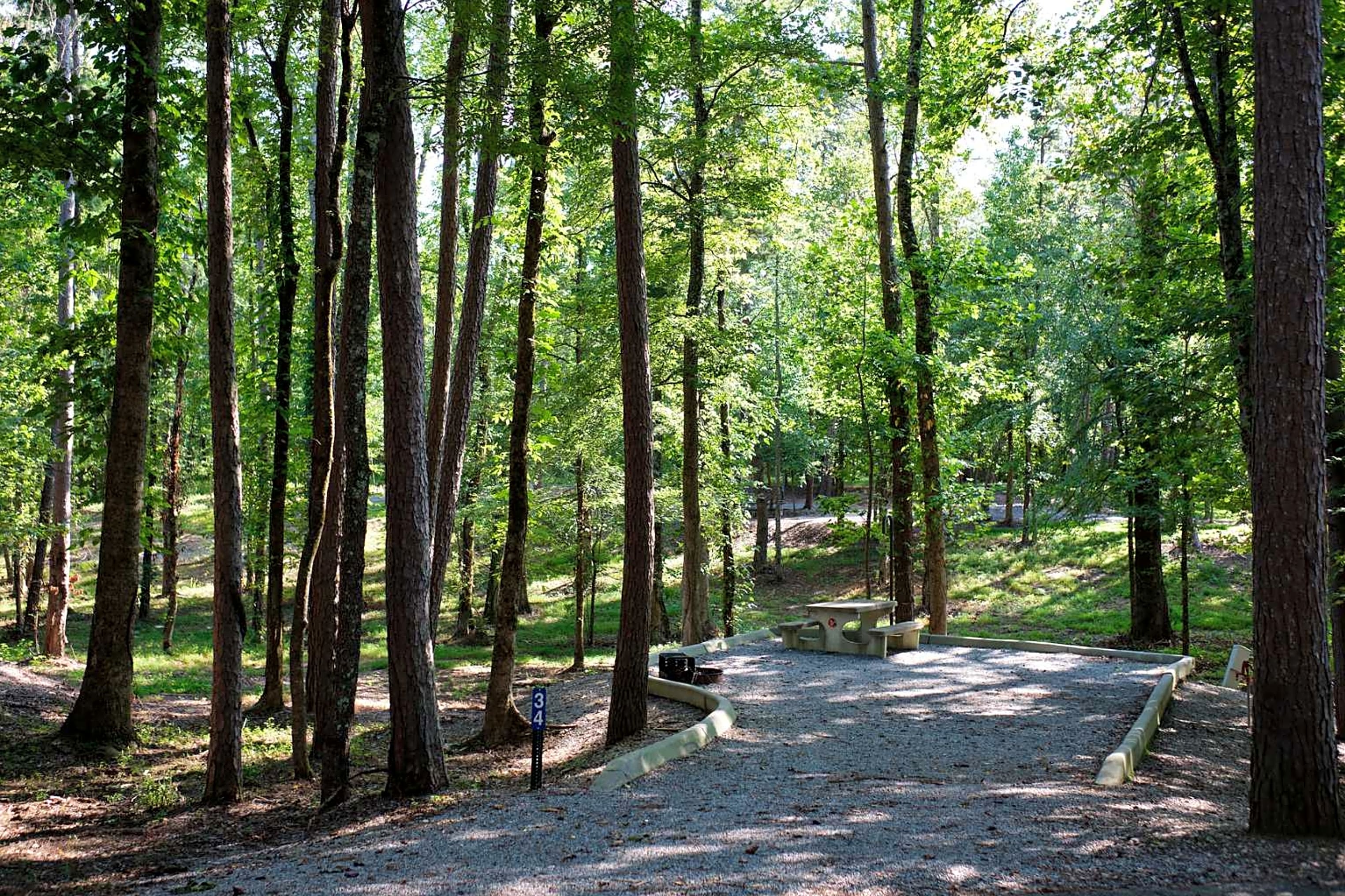Notchy Creek Campground