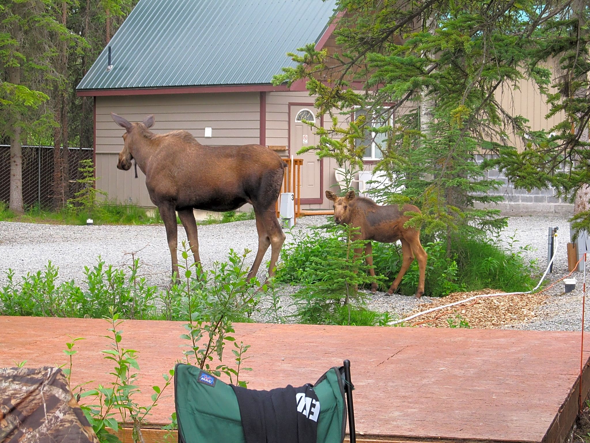 Klondike RV Park