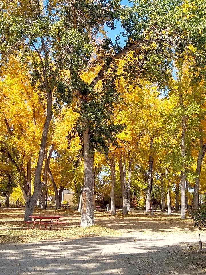 Indian Campground & RV Park