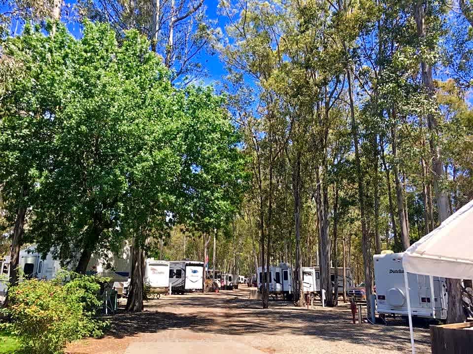 Midway RV Park