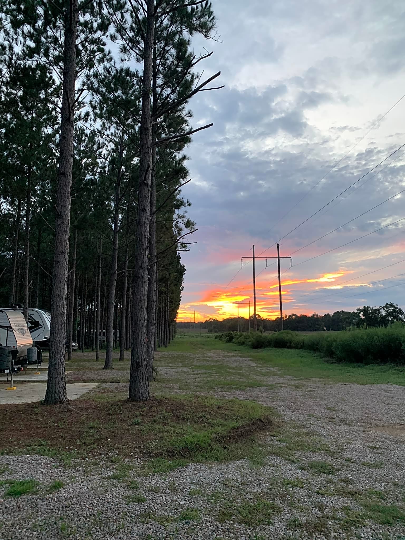 American Robin RV Park & Bird Sanctuary