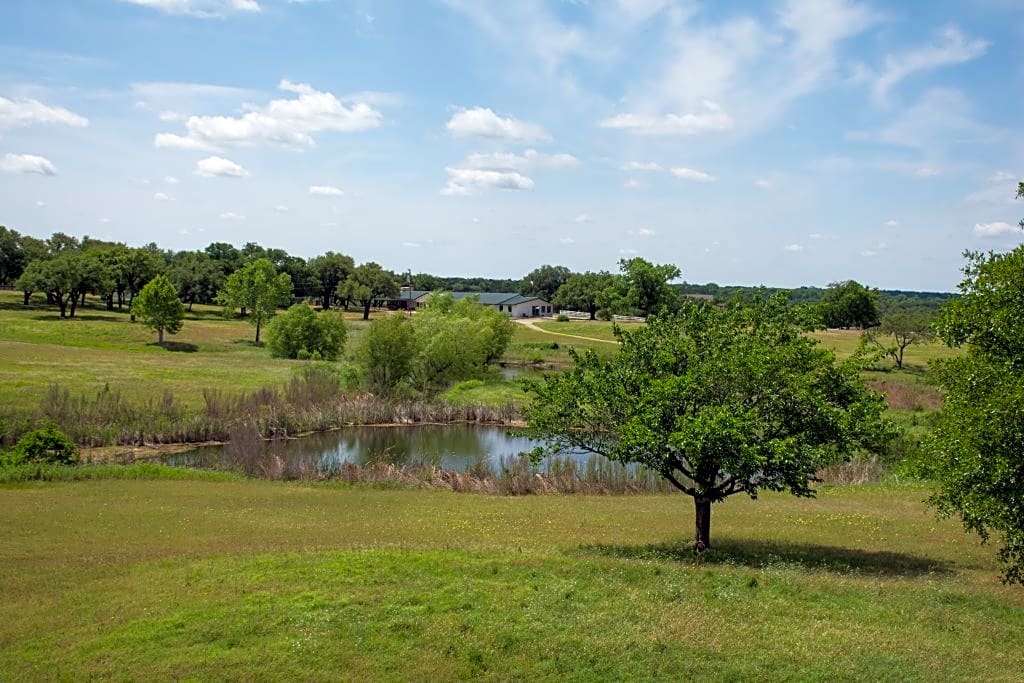 Whitney Resorts