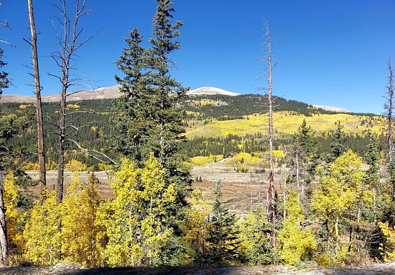 Lake George Cabins & RV Park