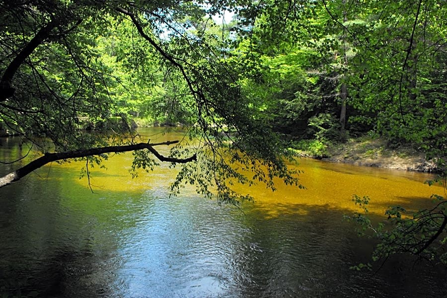 Bearcamp River Campground