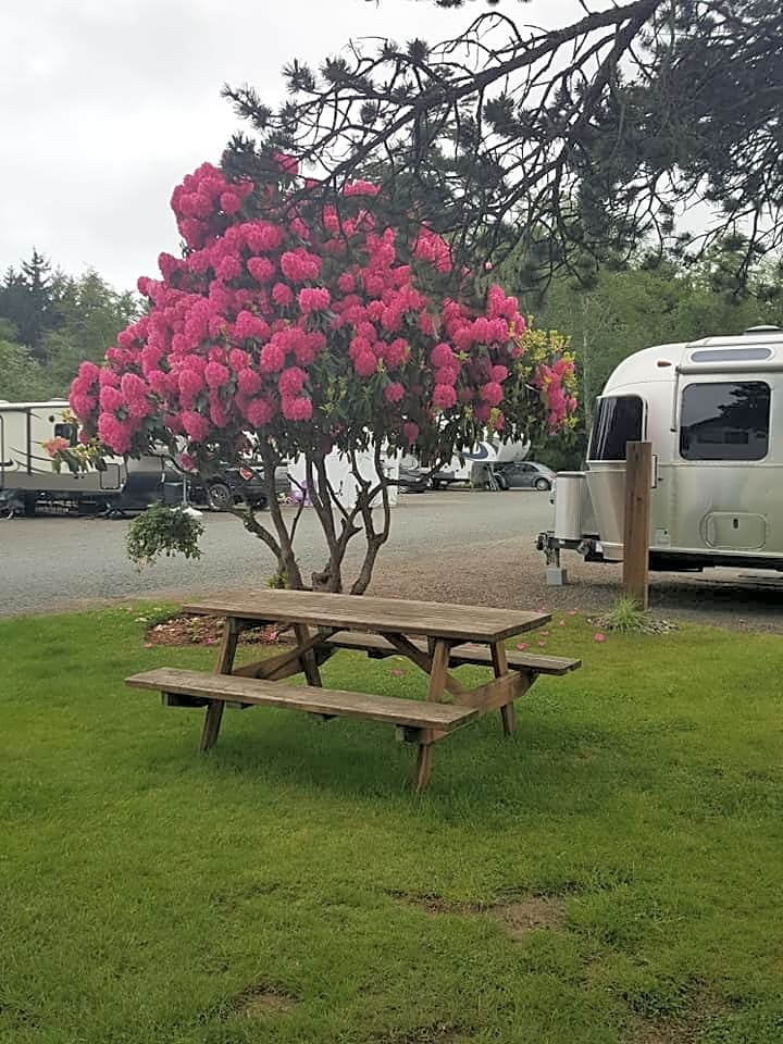 Bud's RV Park and Campground