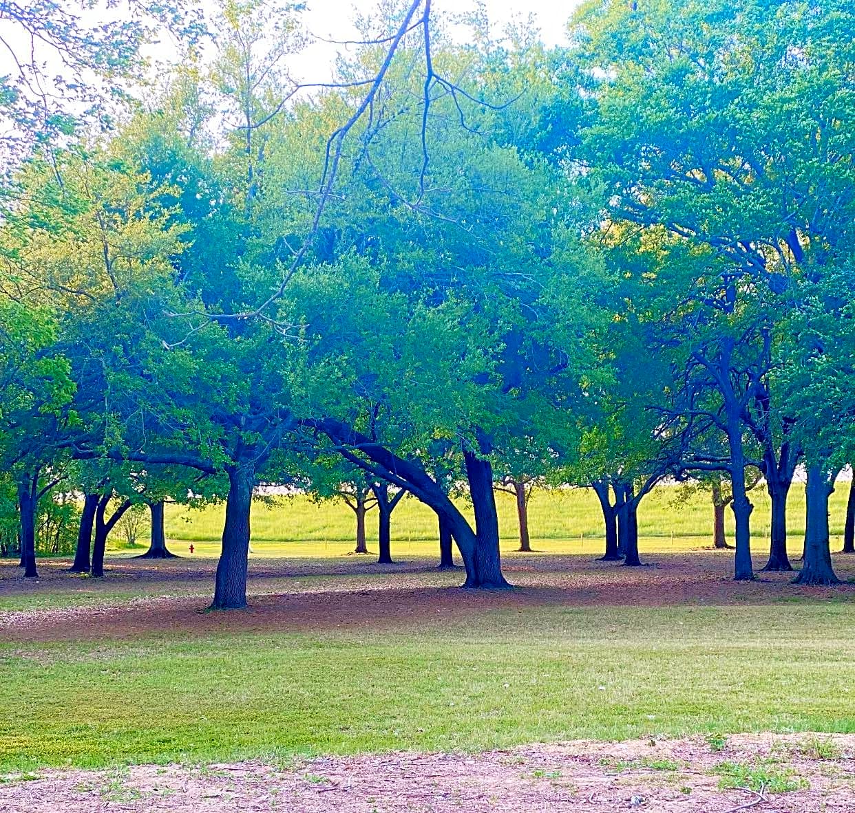 River View RV Park & Resort
