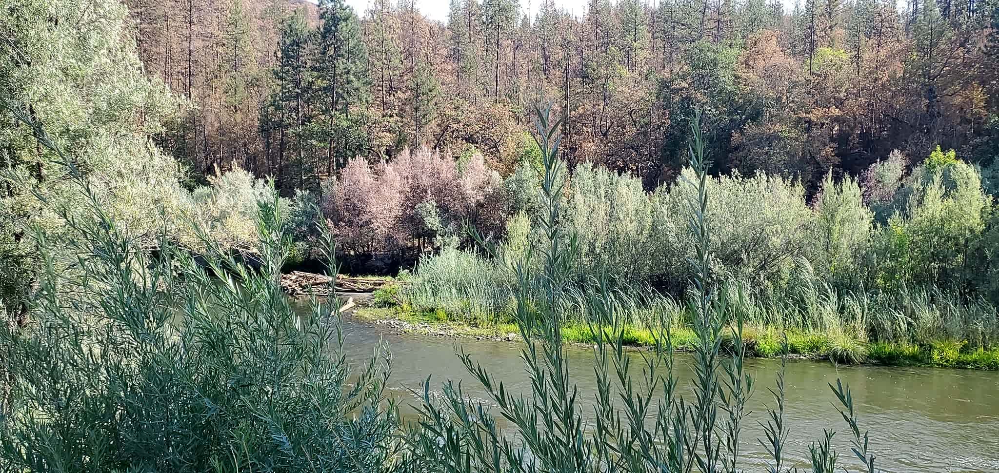 Quigley's Station RV Park
