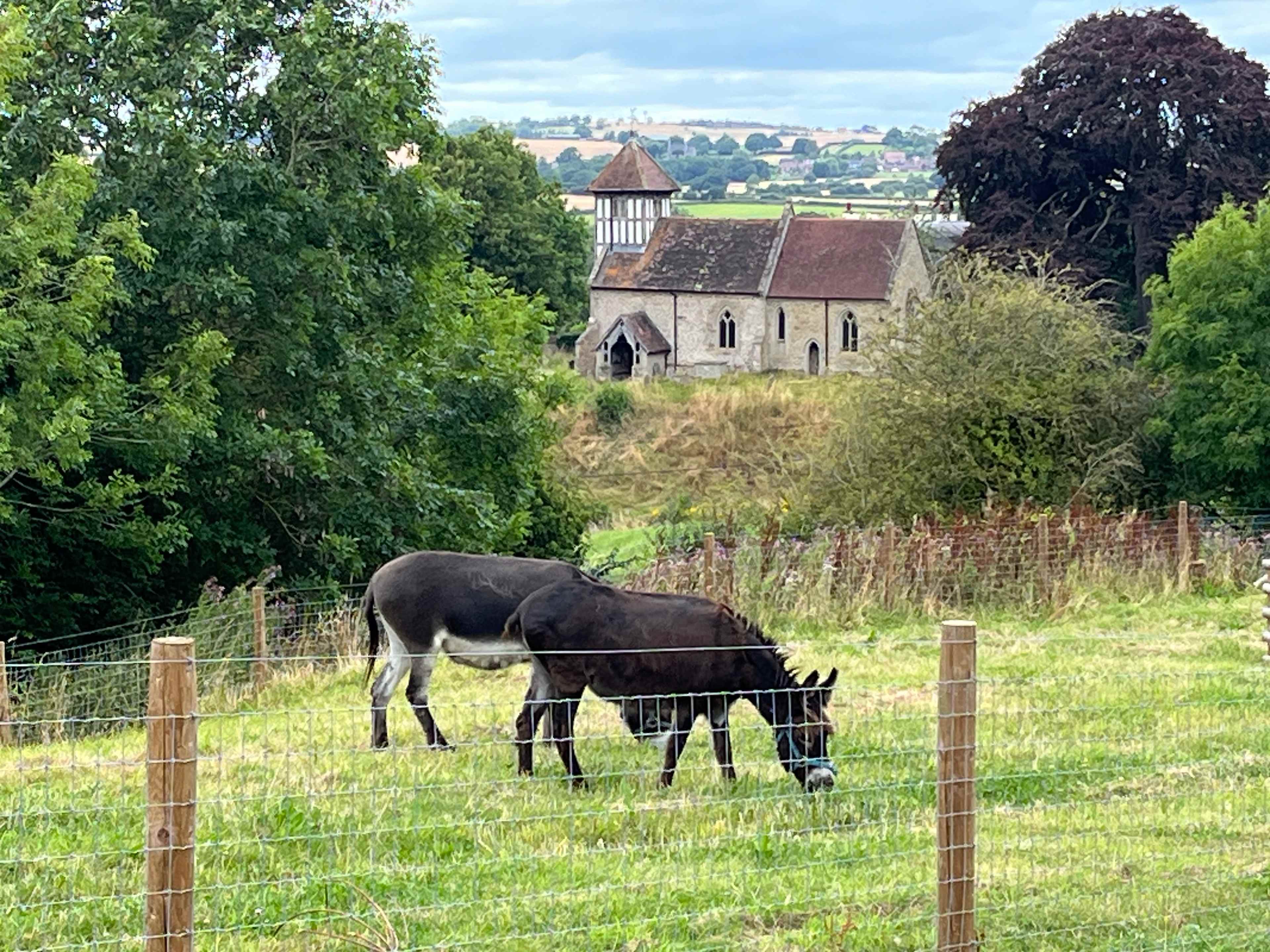 School Farm Holidays