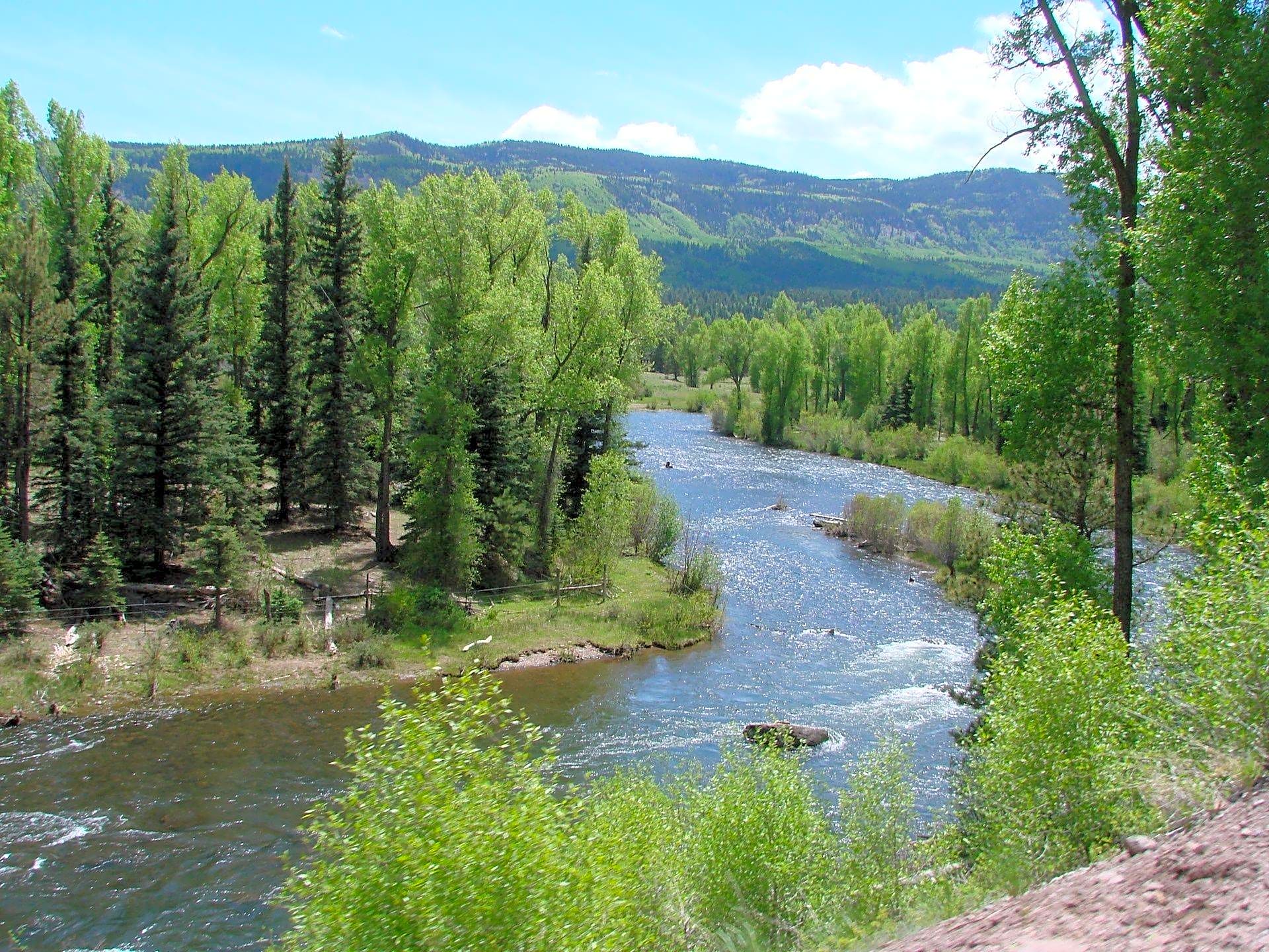 Conejos River Campground