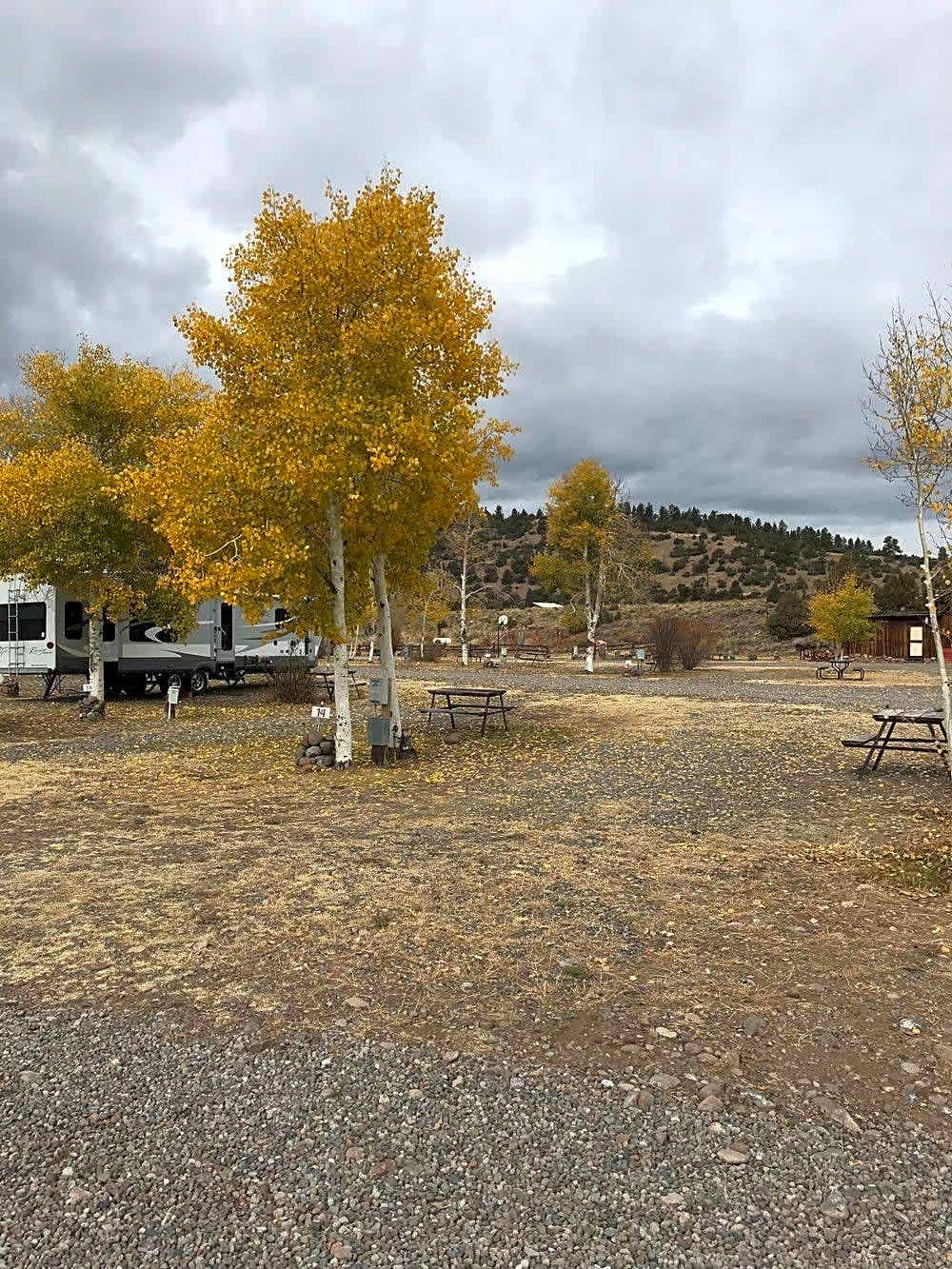 Conejos River Campground