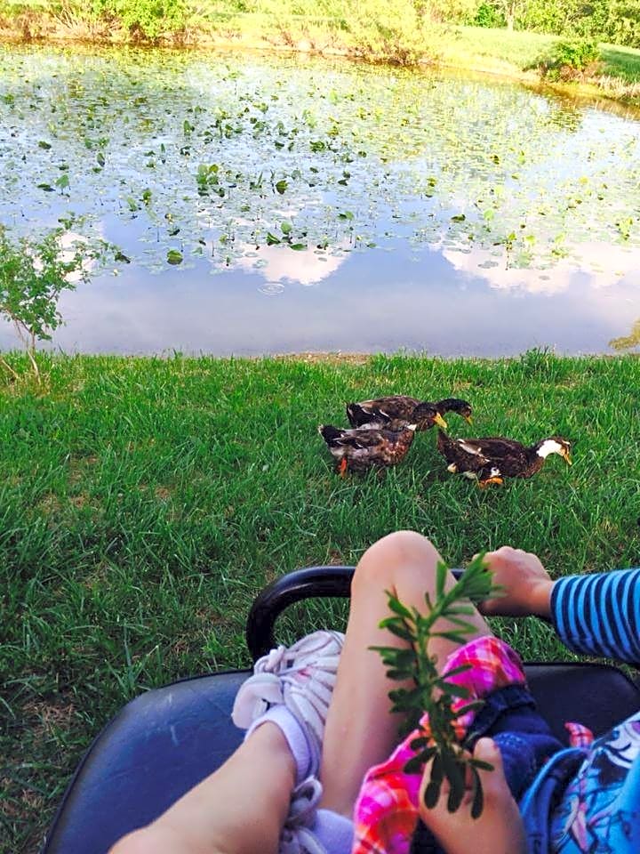 Laura Ingalls Wilder RV Park